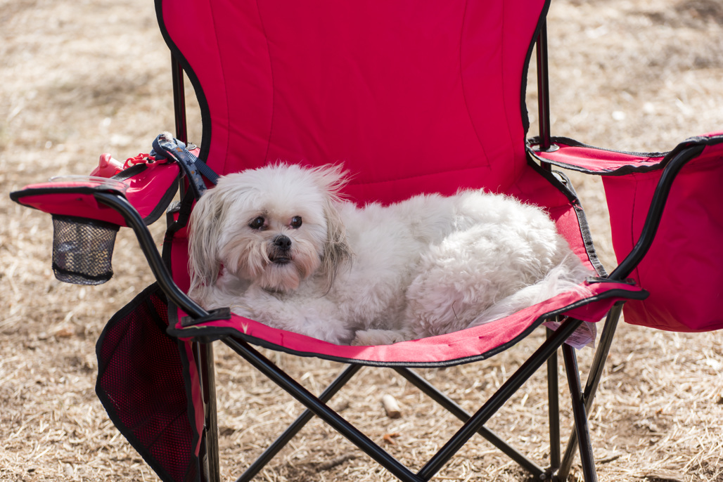 California State Parks