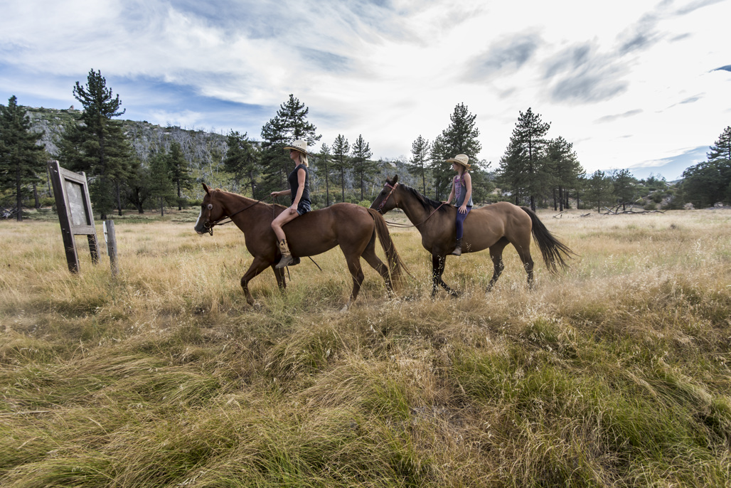 Los Vaqueros Group Horse Campground