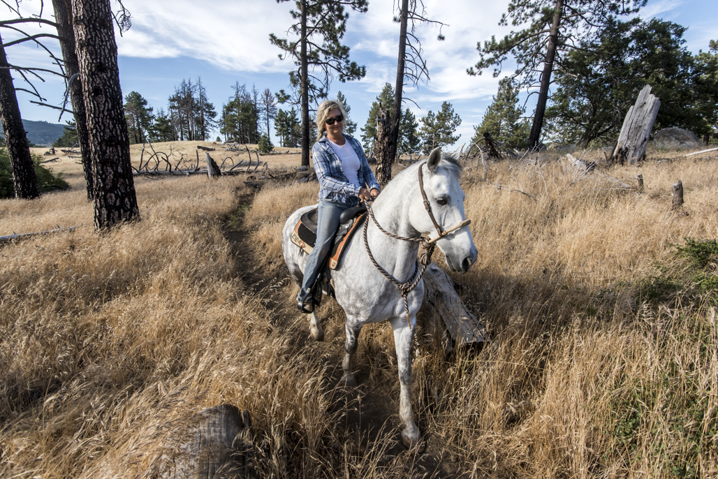 Los Vaqueros Group Horse Campground