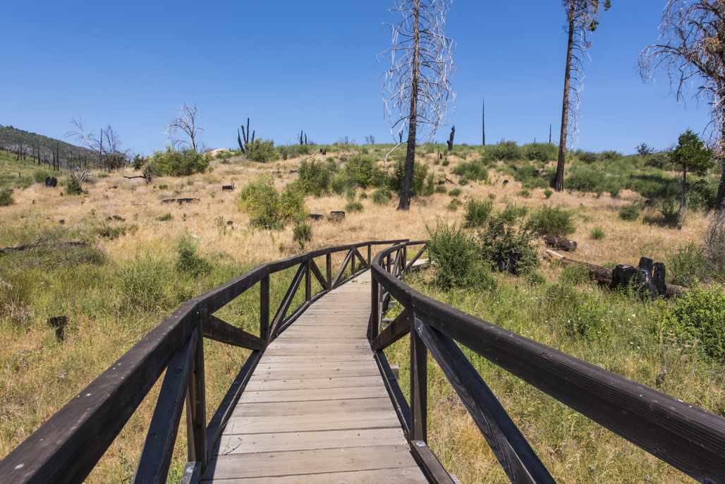 Paso Picacho & Cabins Camping | Rising 5,000 feet within ...