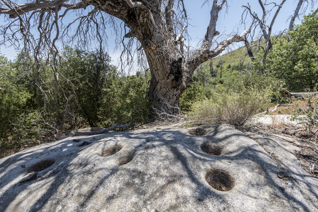 California State Parks