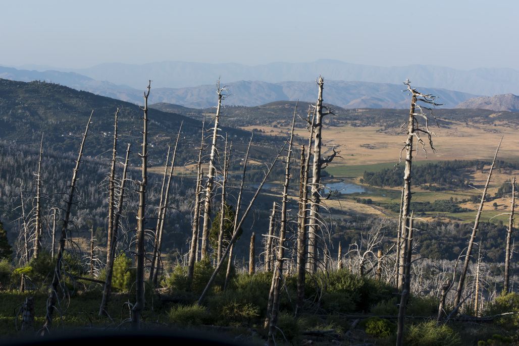 Paso Picacho & Cabins