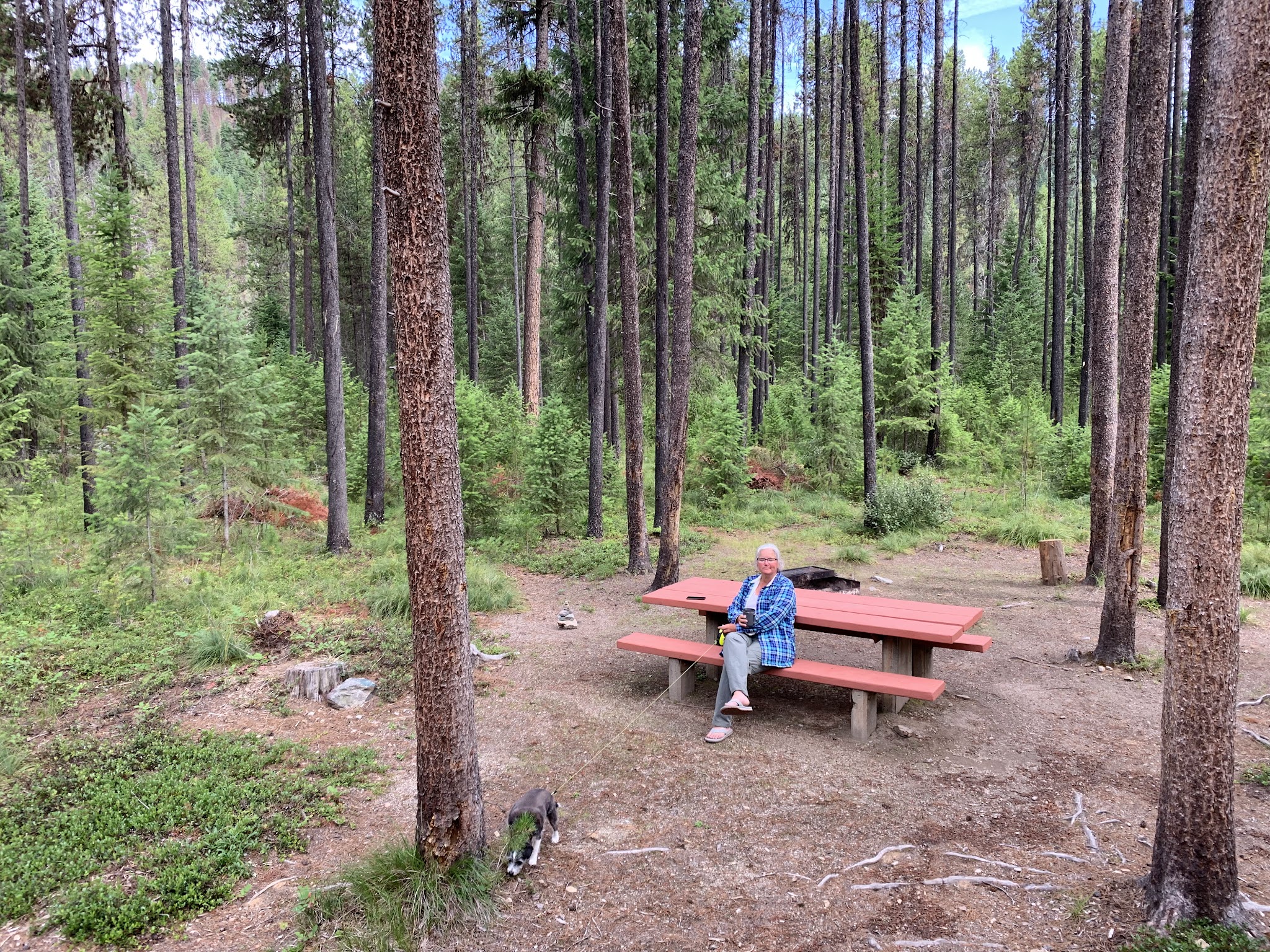 Cabin City Campground (Mt)