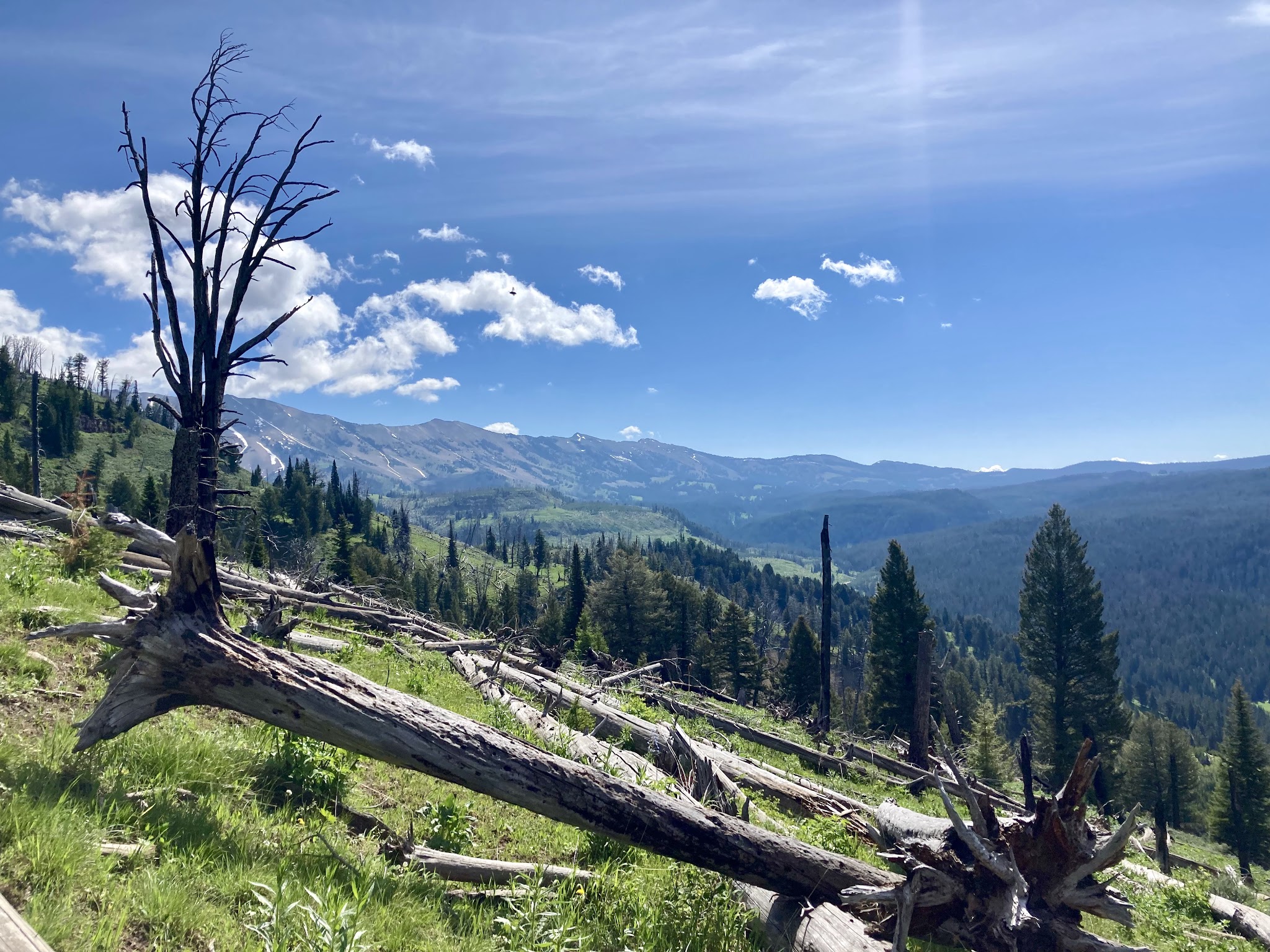 Cabin Creek Campground