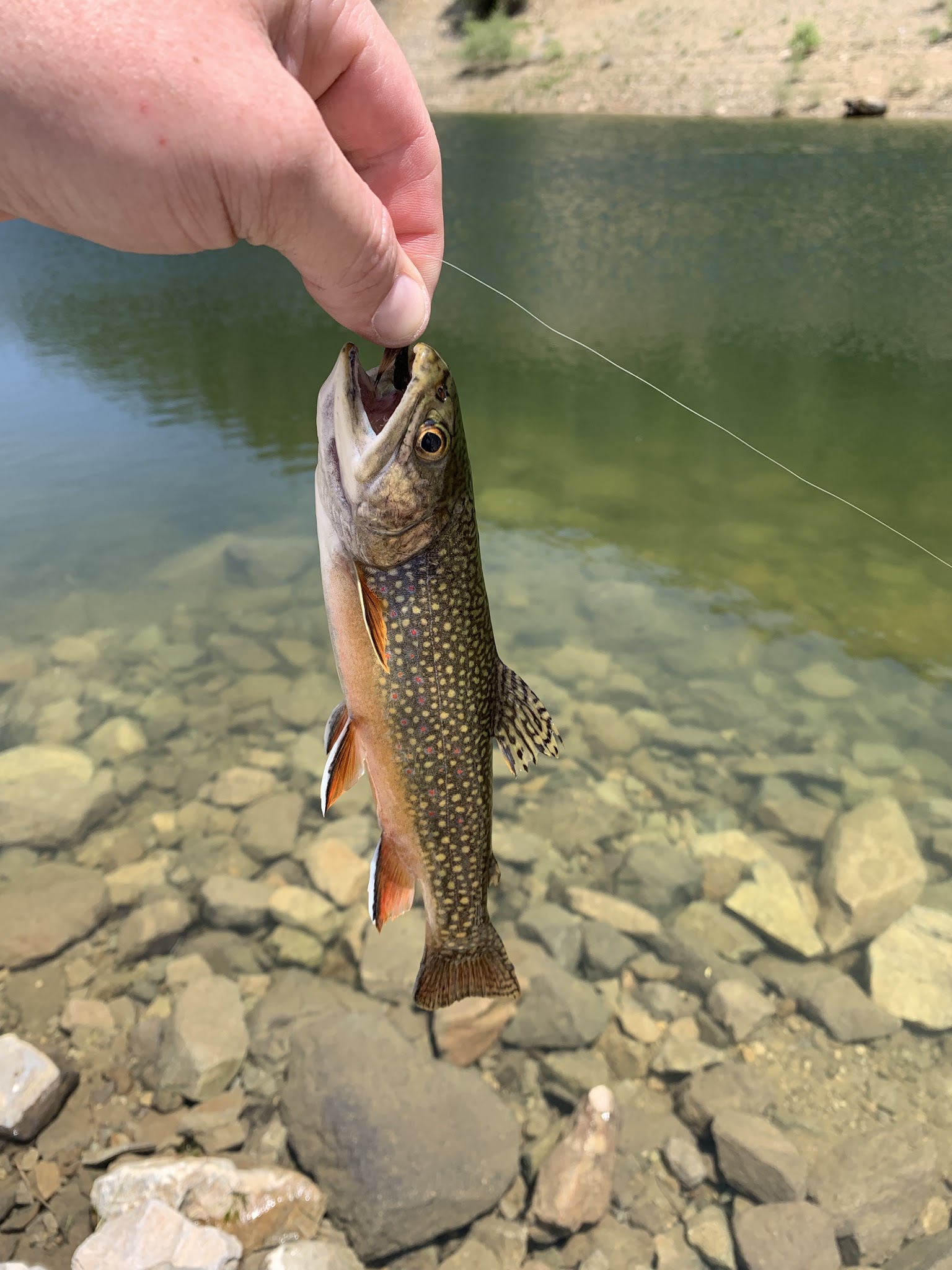 Cabresto Lake Campground