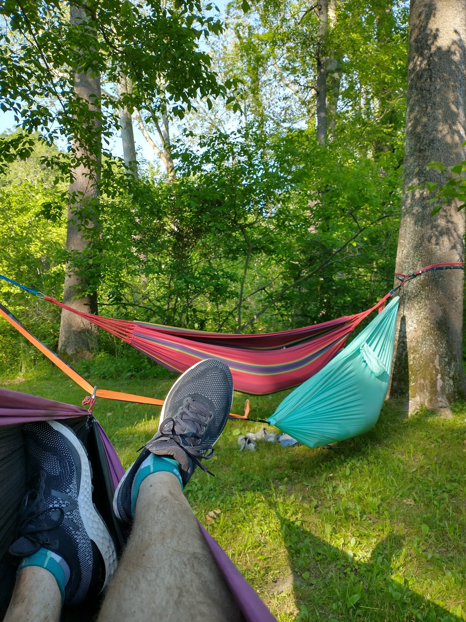 Cacapon Junction Hiker-Biker Overnight (Hbo) Campsite