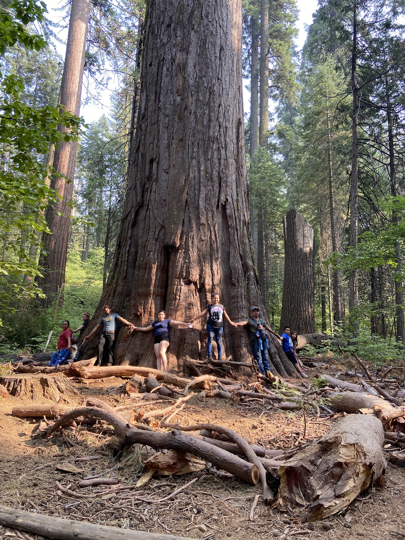 Calaveras Big Trees State Park Group Campground