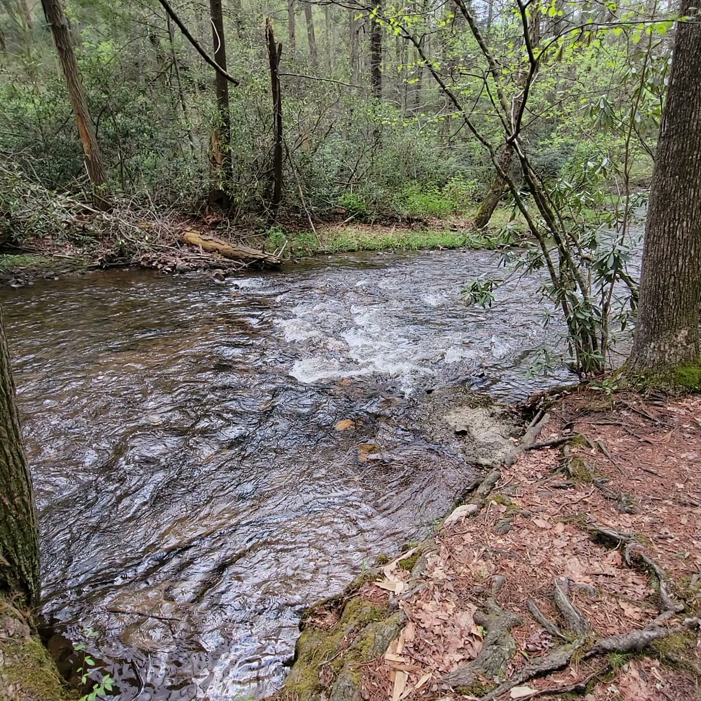 Caledonia State Park