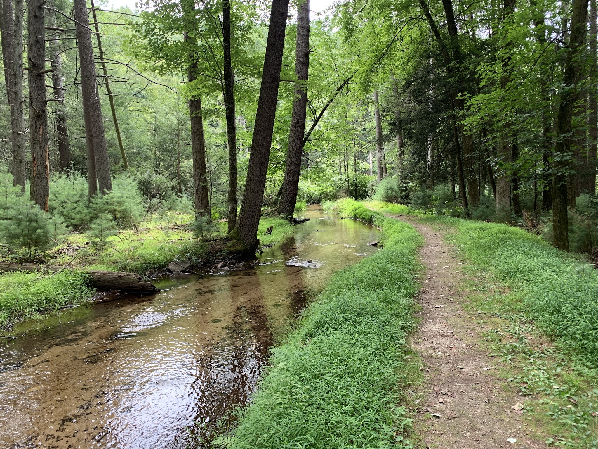 Caledonia State Park