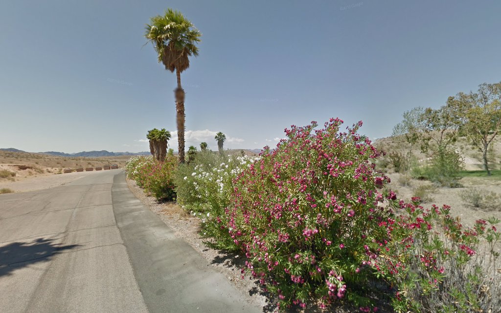 Callville Bay Rv Park (Lake Mead)