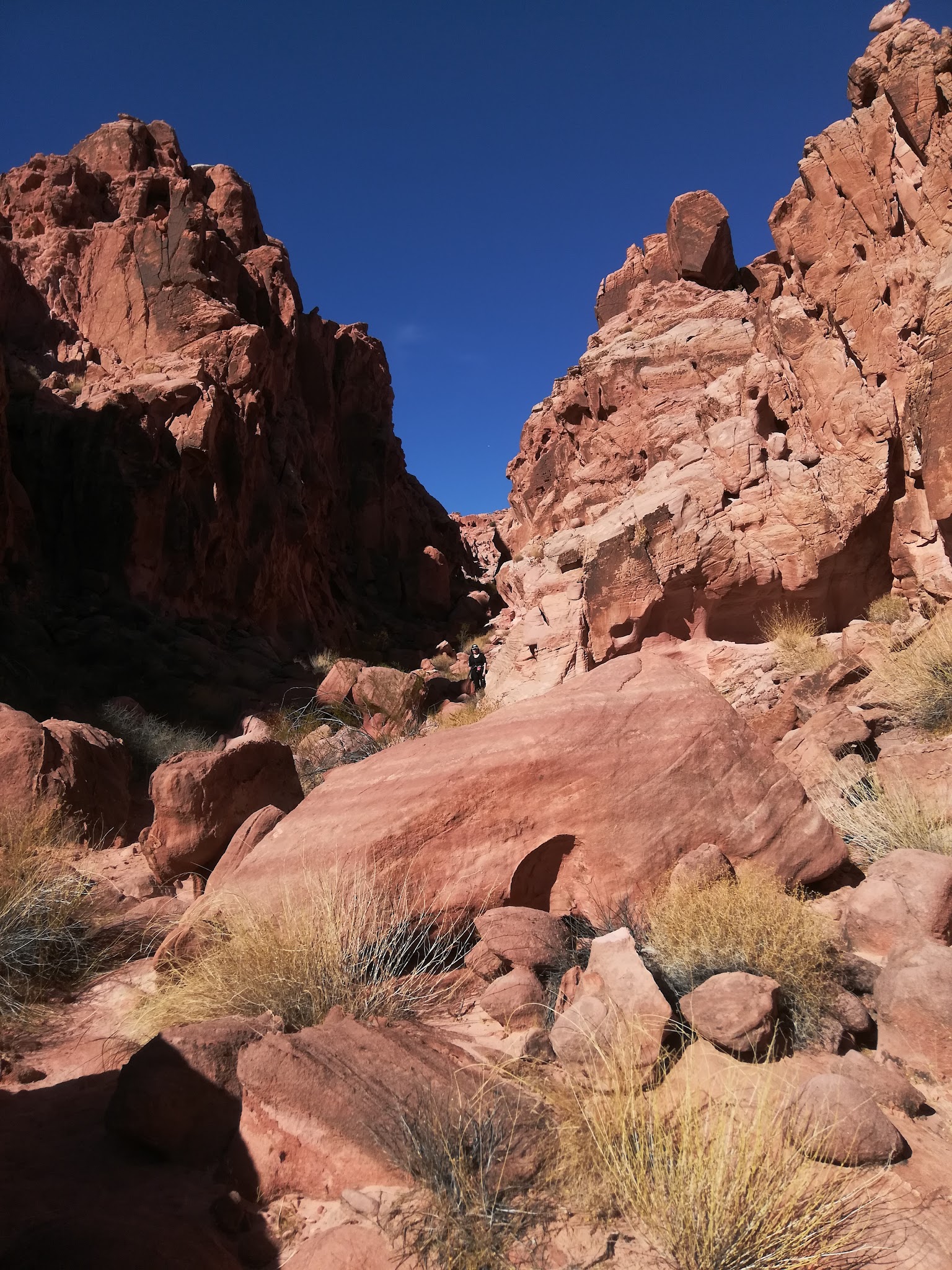Callville Bay Rv Park (Lake Mead)