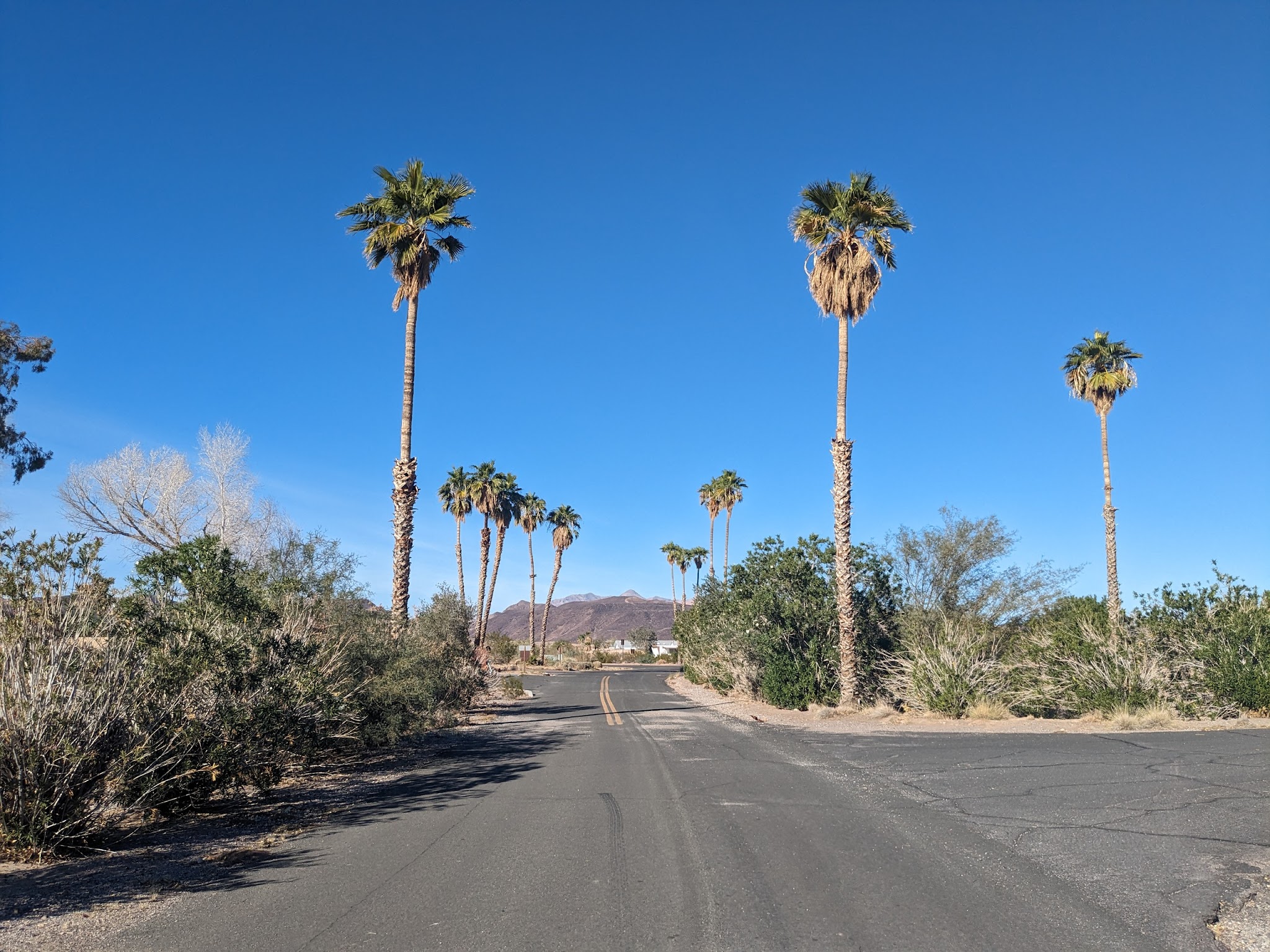 Callville Bay Rv Park (Lake Mead)