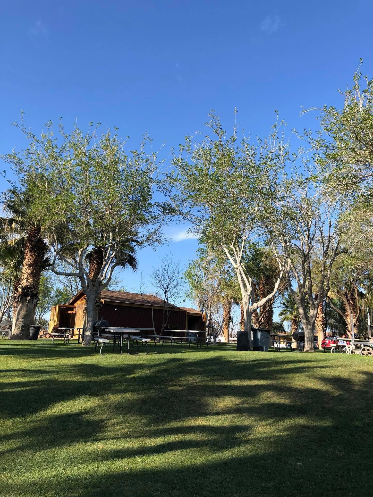 Callville Bay Rv Park (Lake Mead)