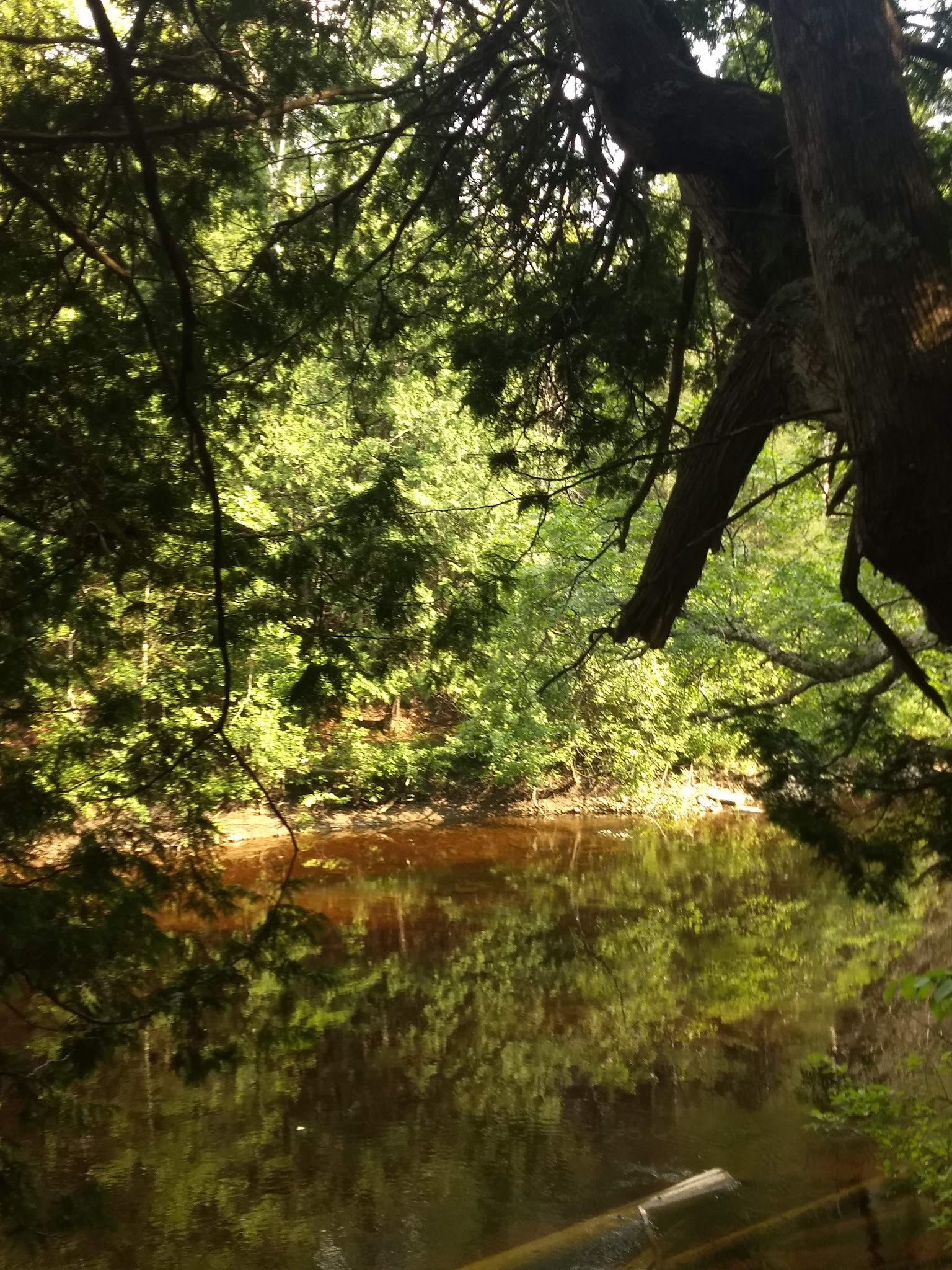 Cedar River North Equestrian State Forest Campground And Trail Camp