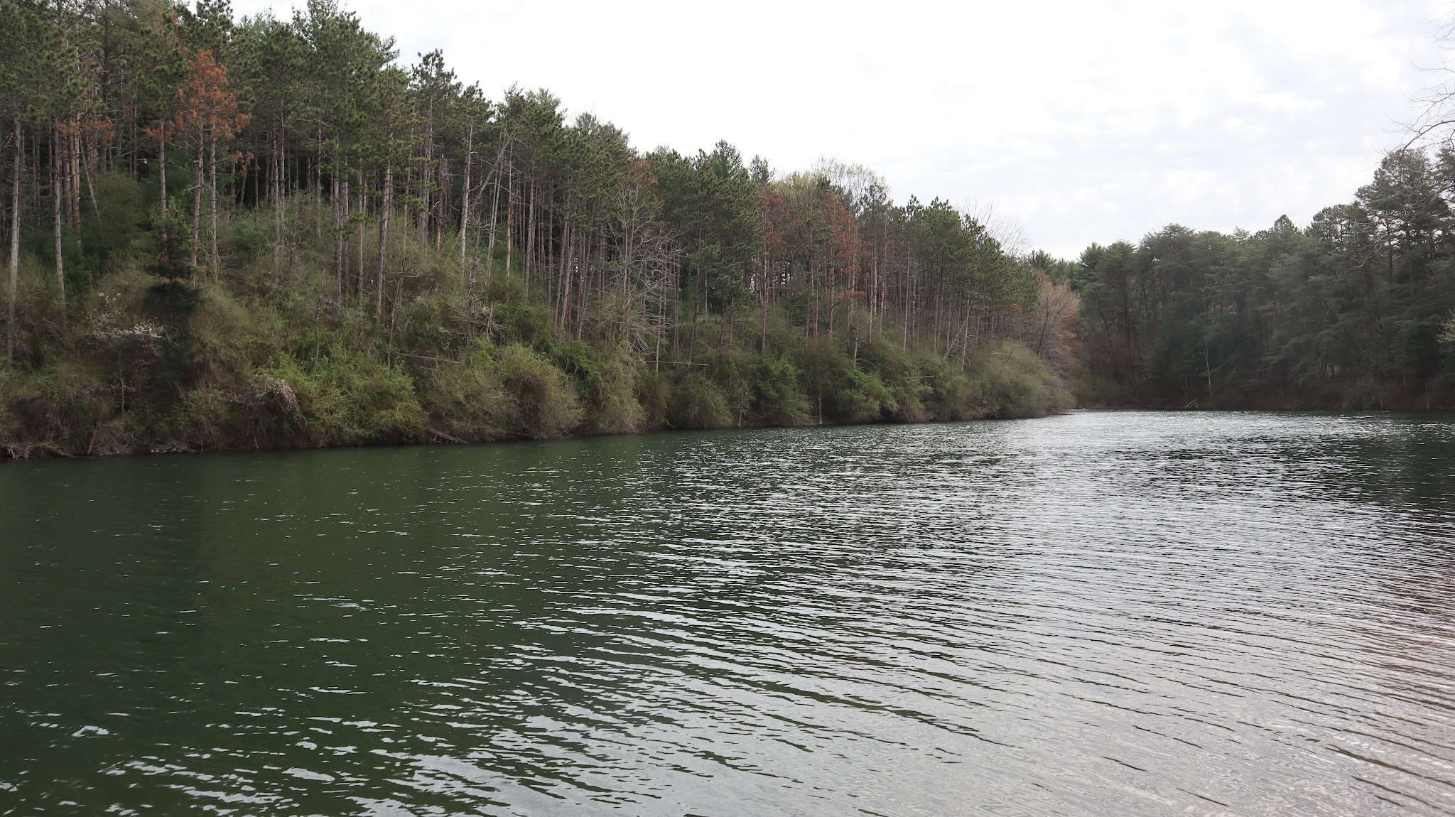 Greene-Sullivan State Forest