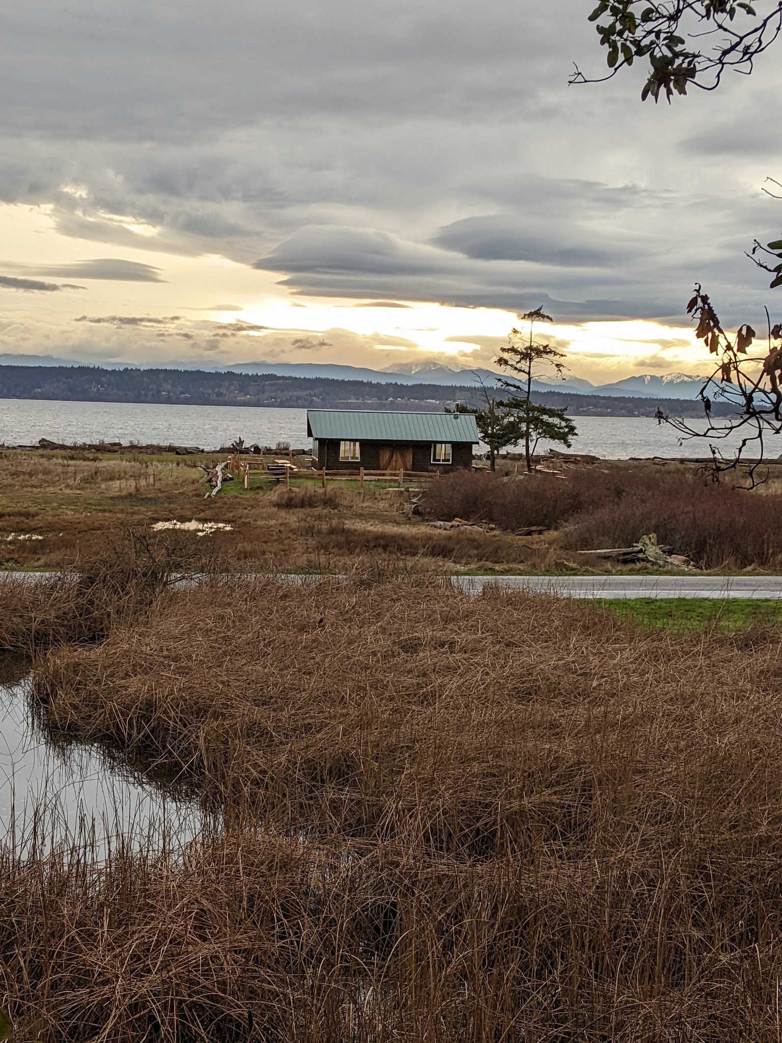 Camano Island State Park