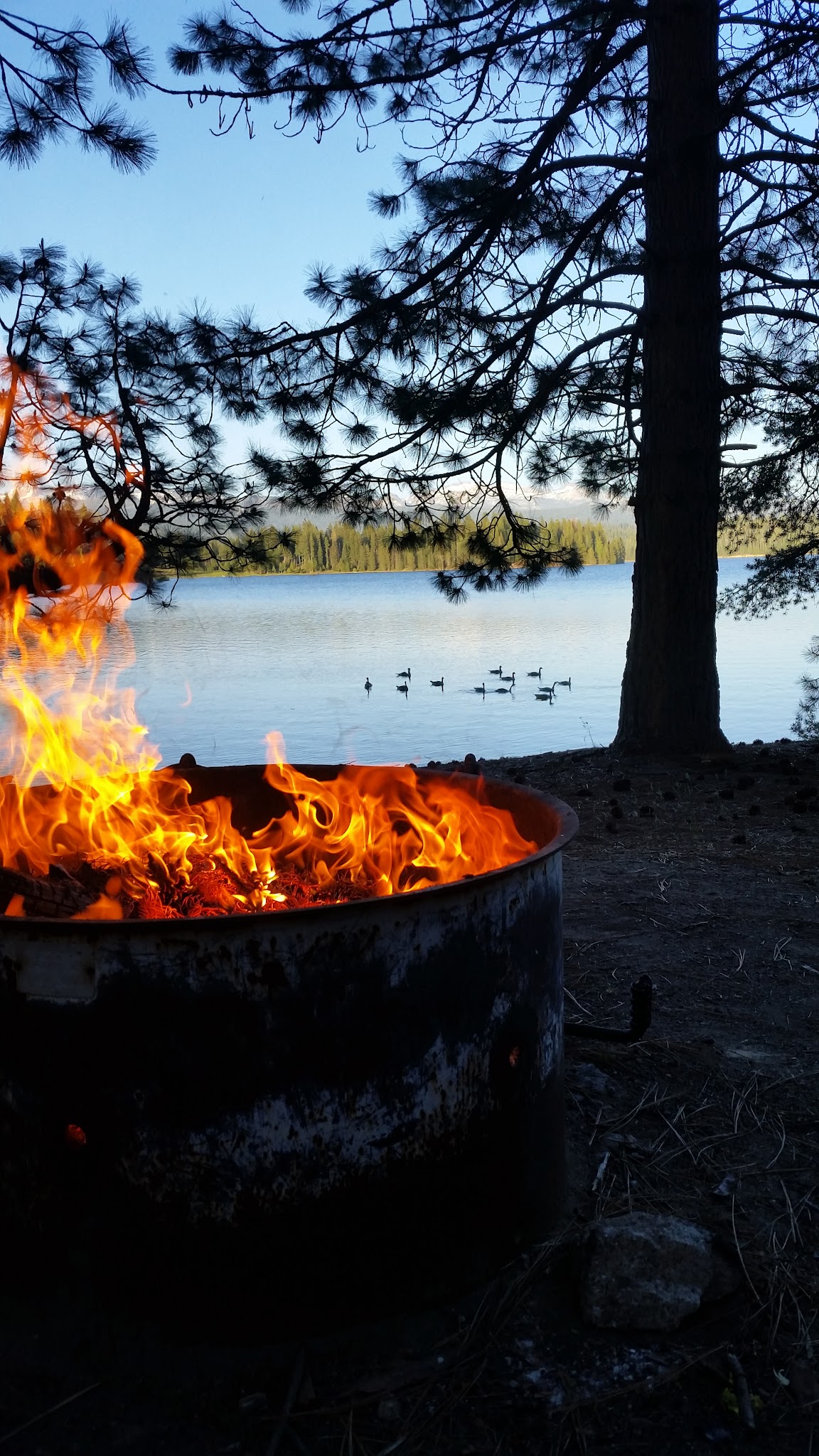 Camino Cove Campground