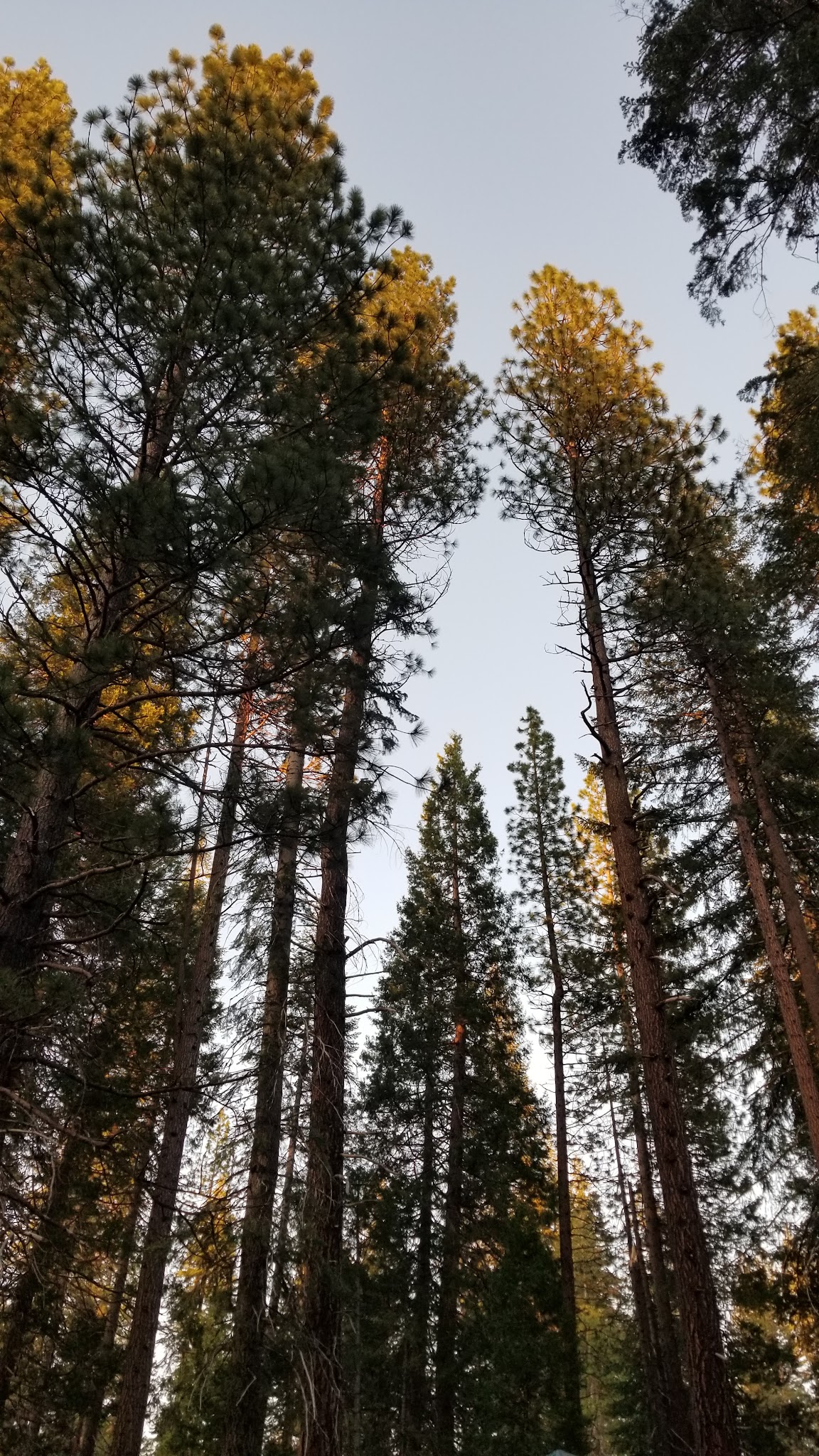 Camp 4 Group Campsite And Day Use Area