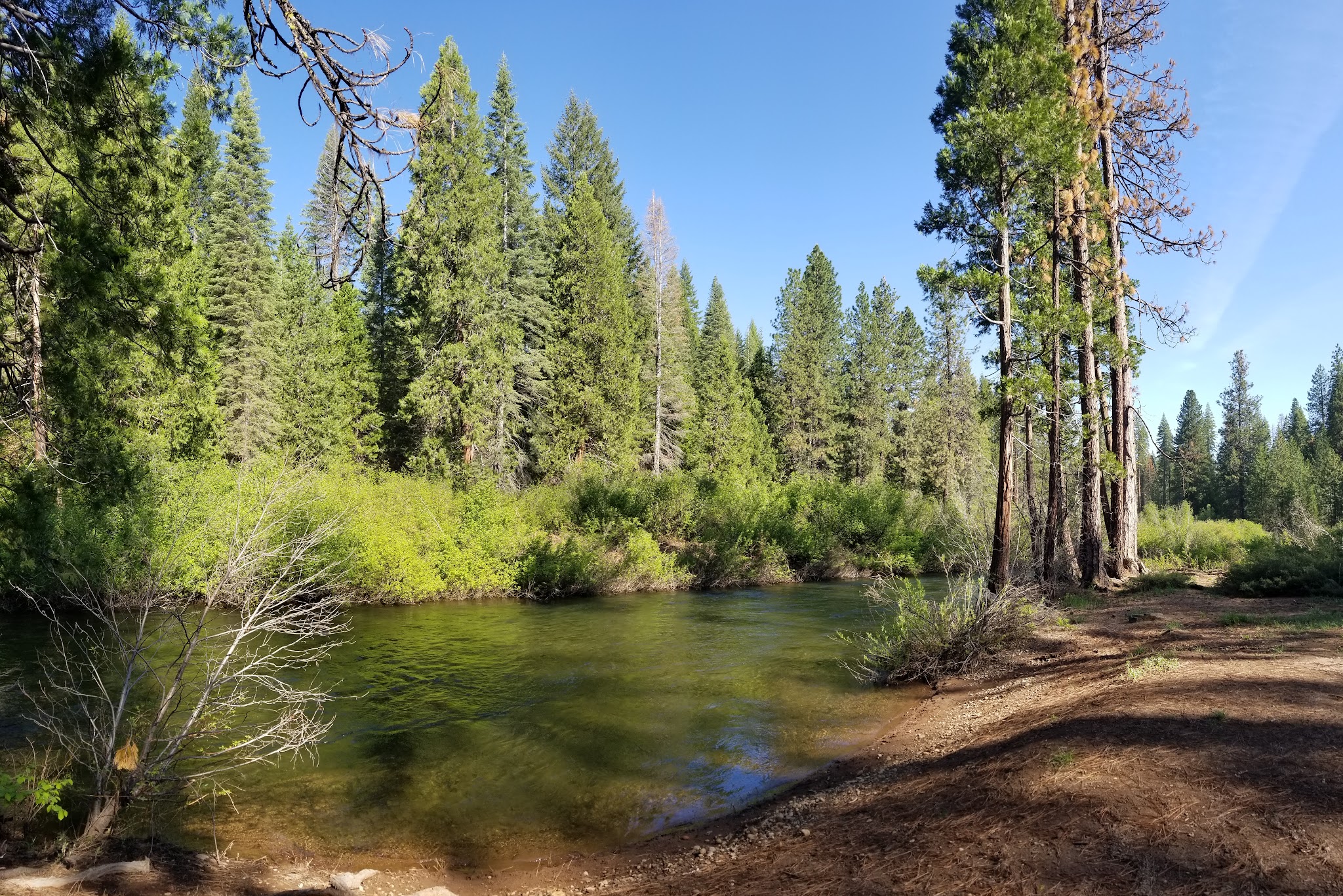 Camp 4 Group Campsite And Day Use Area