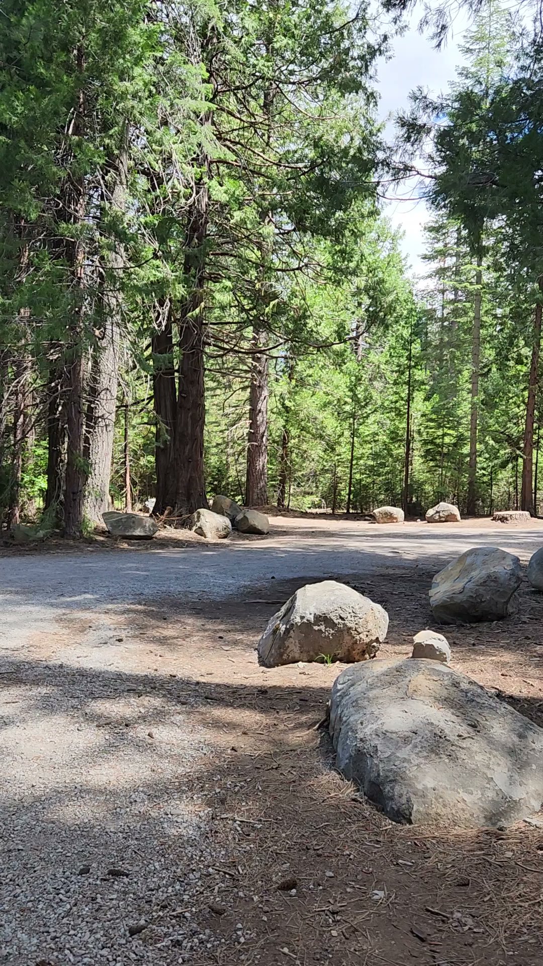 Camp 4 Group Campsite And Day Use Area