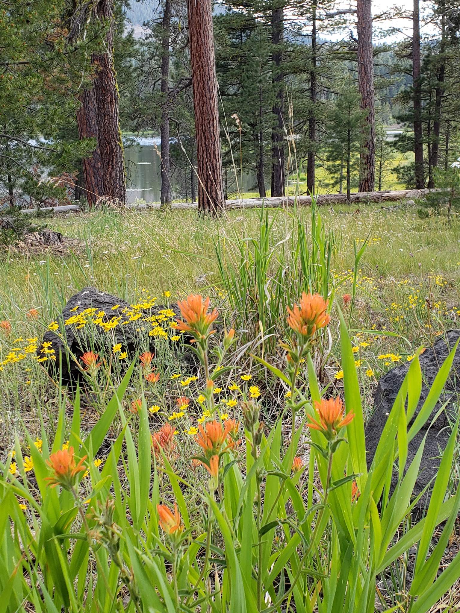 Cottonwood Recreation Area Campground