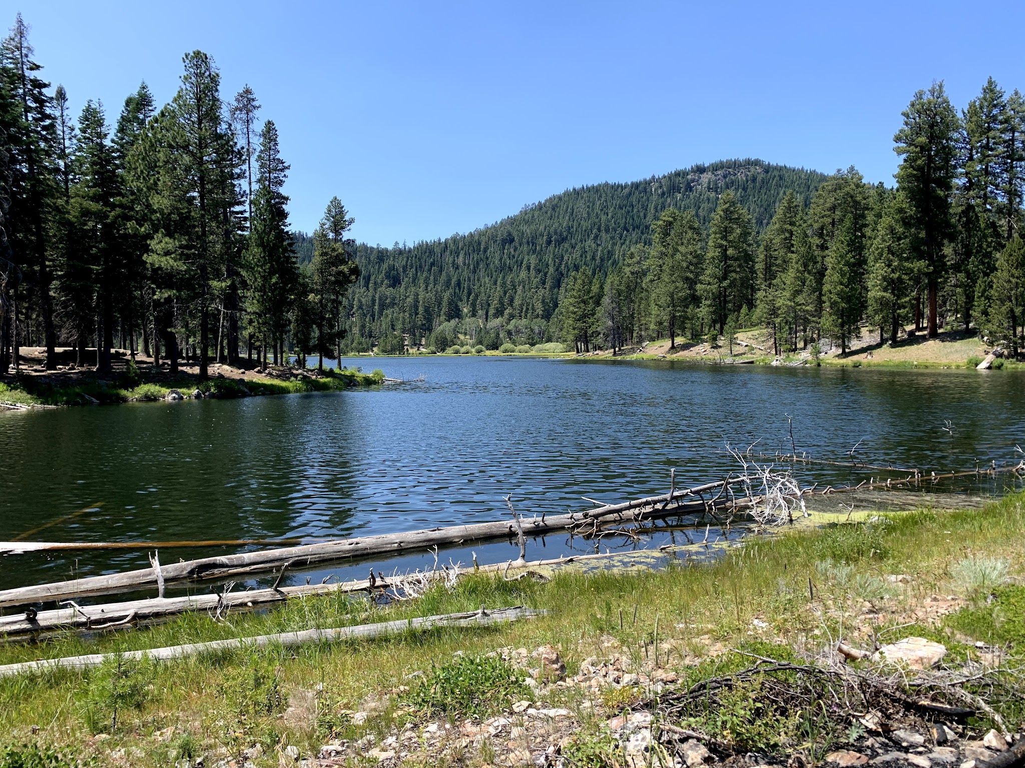 Cottonwood Recreation Area Campground