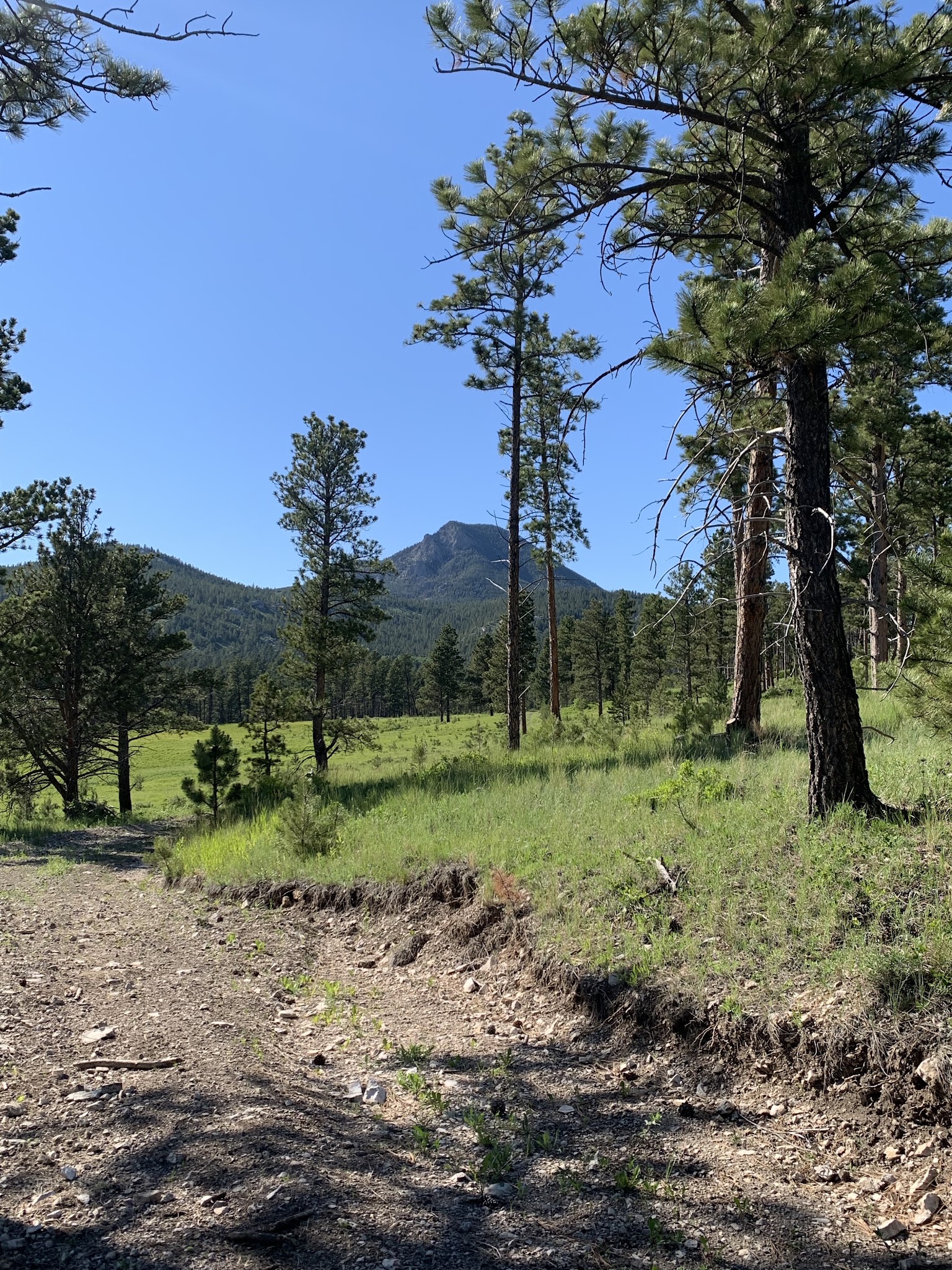 Camp Creek Campground