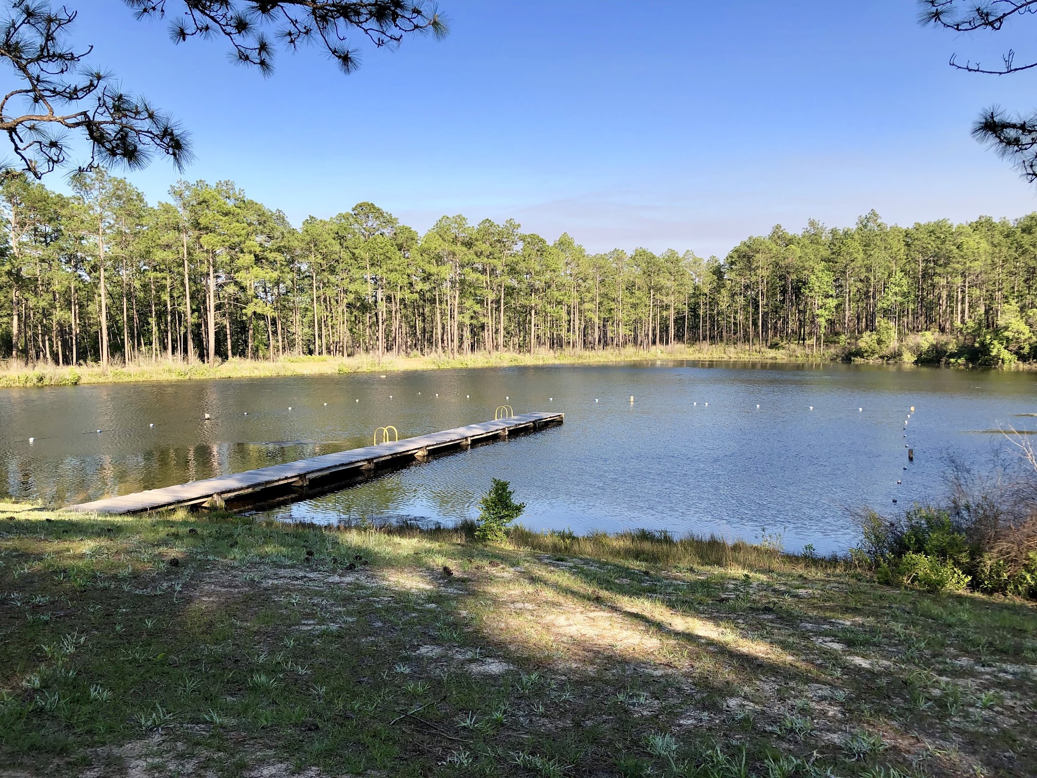 Camp Paquette Youth Group Camp Blackwater River State Forest