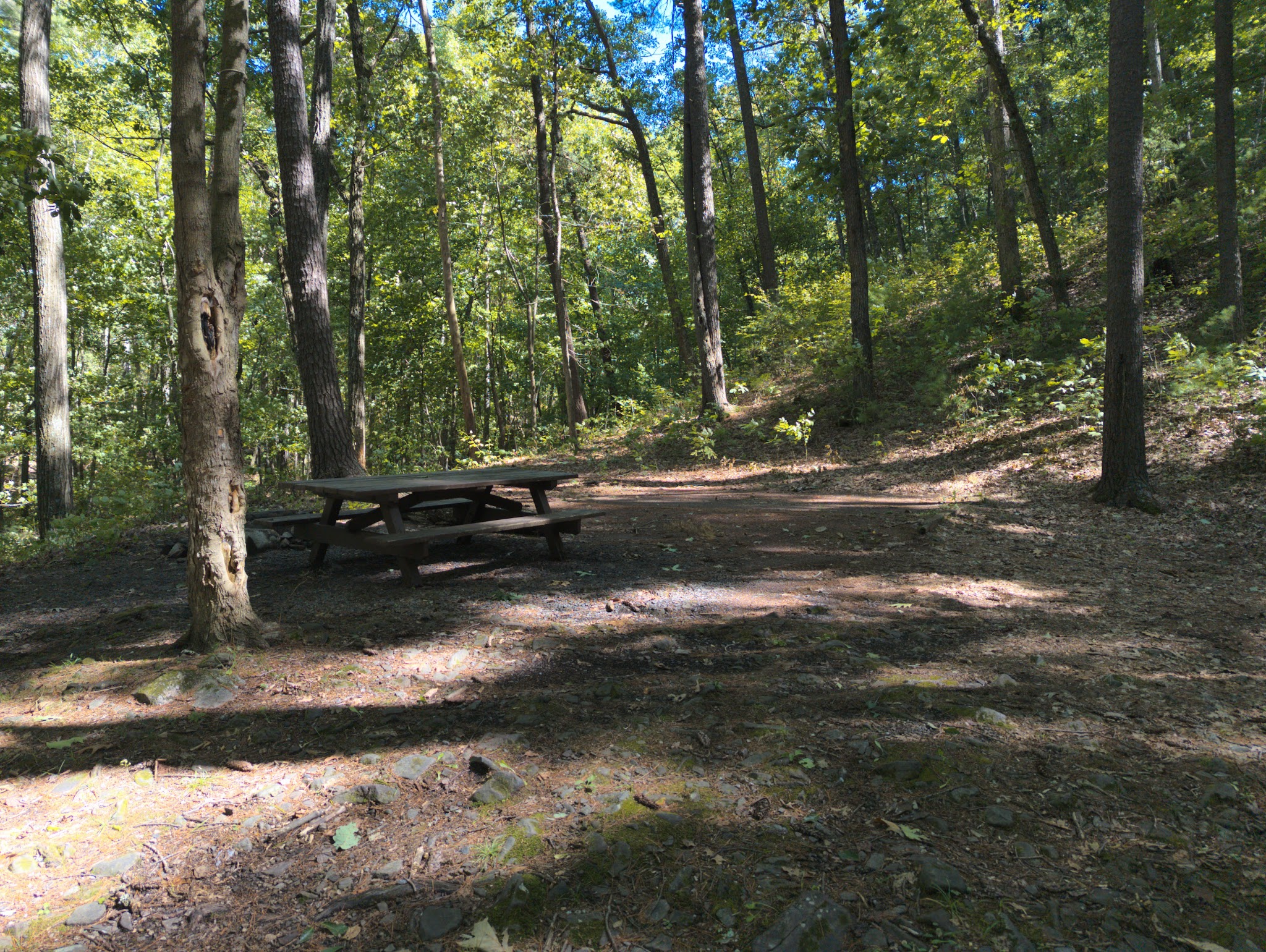 Camp Run Campground