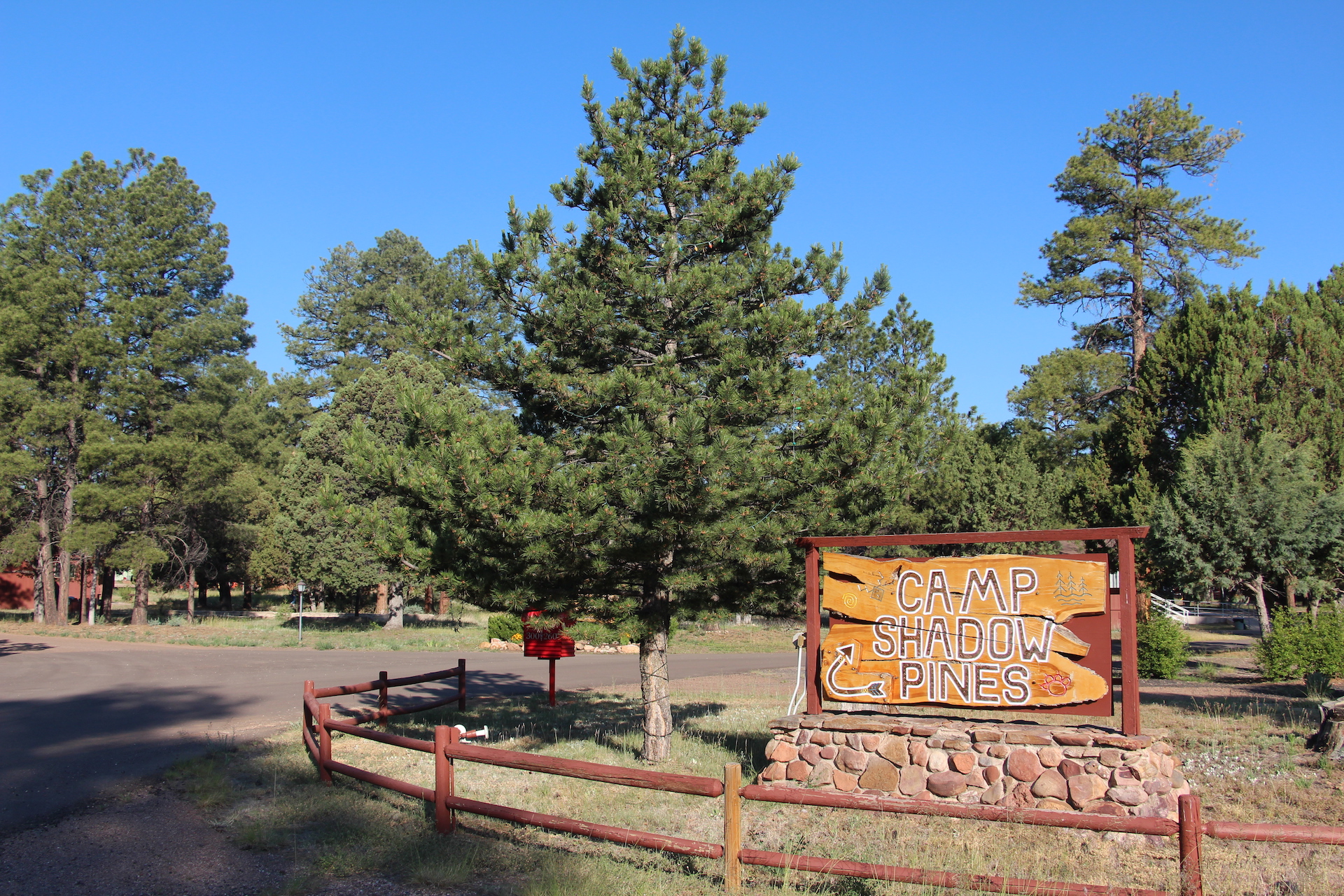 Camp Shadow Pines Organization Site