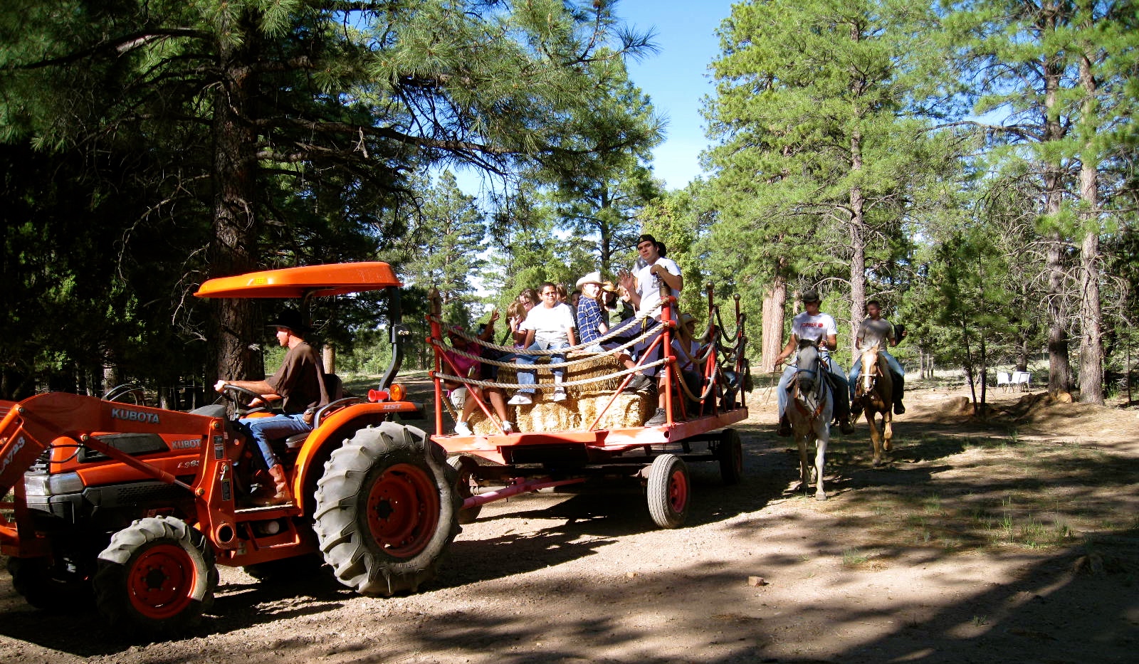 Camp Shadow Pines Organization Site