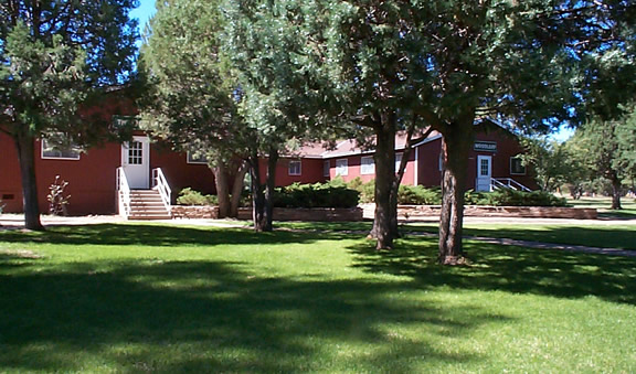Camp Shadow Pines Organization Site