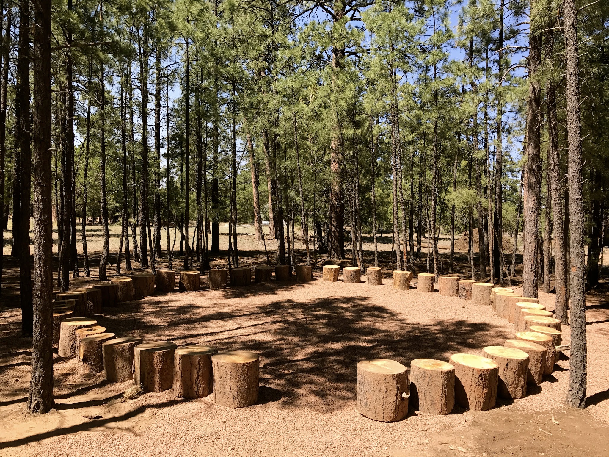 Camp Shadow Pines Organization Site