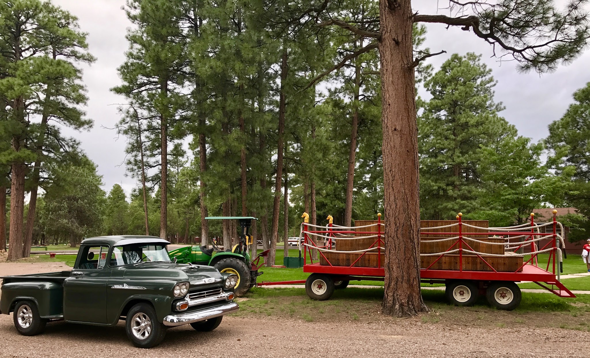 Camp Shadow Pines Organization Site