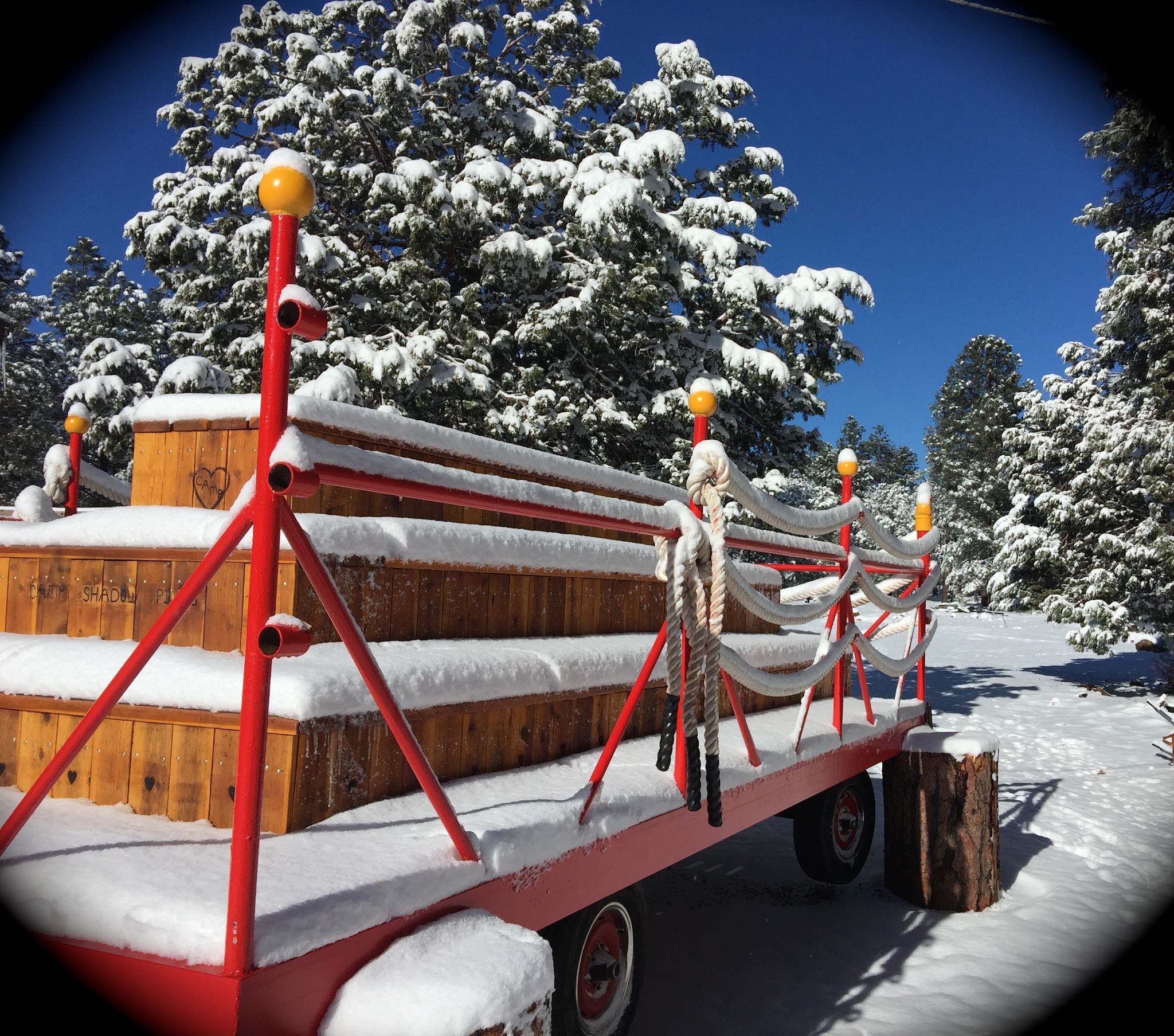 Camp Shadow Pines Organization Site