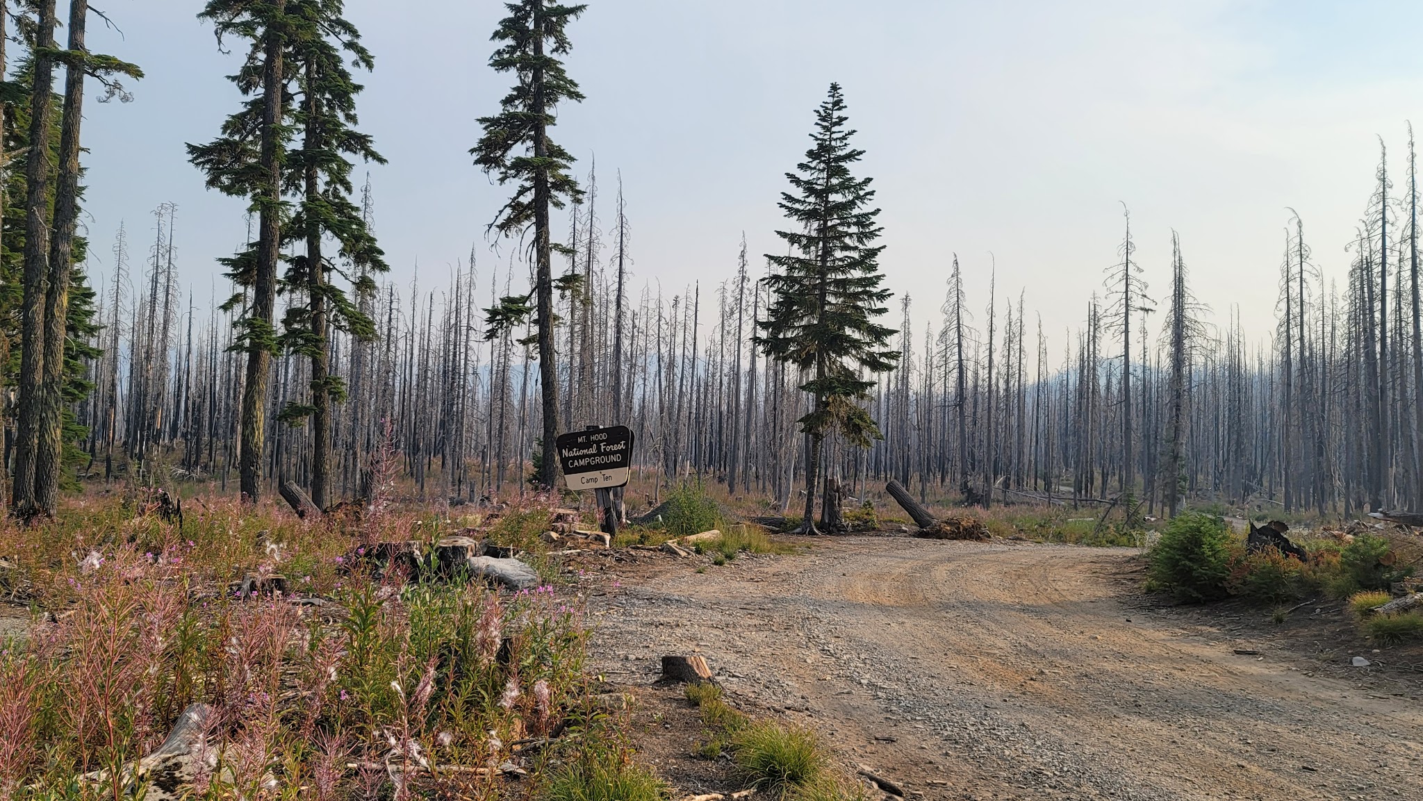 Camp Ten (Olallie Lake) Campground