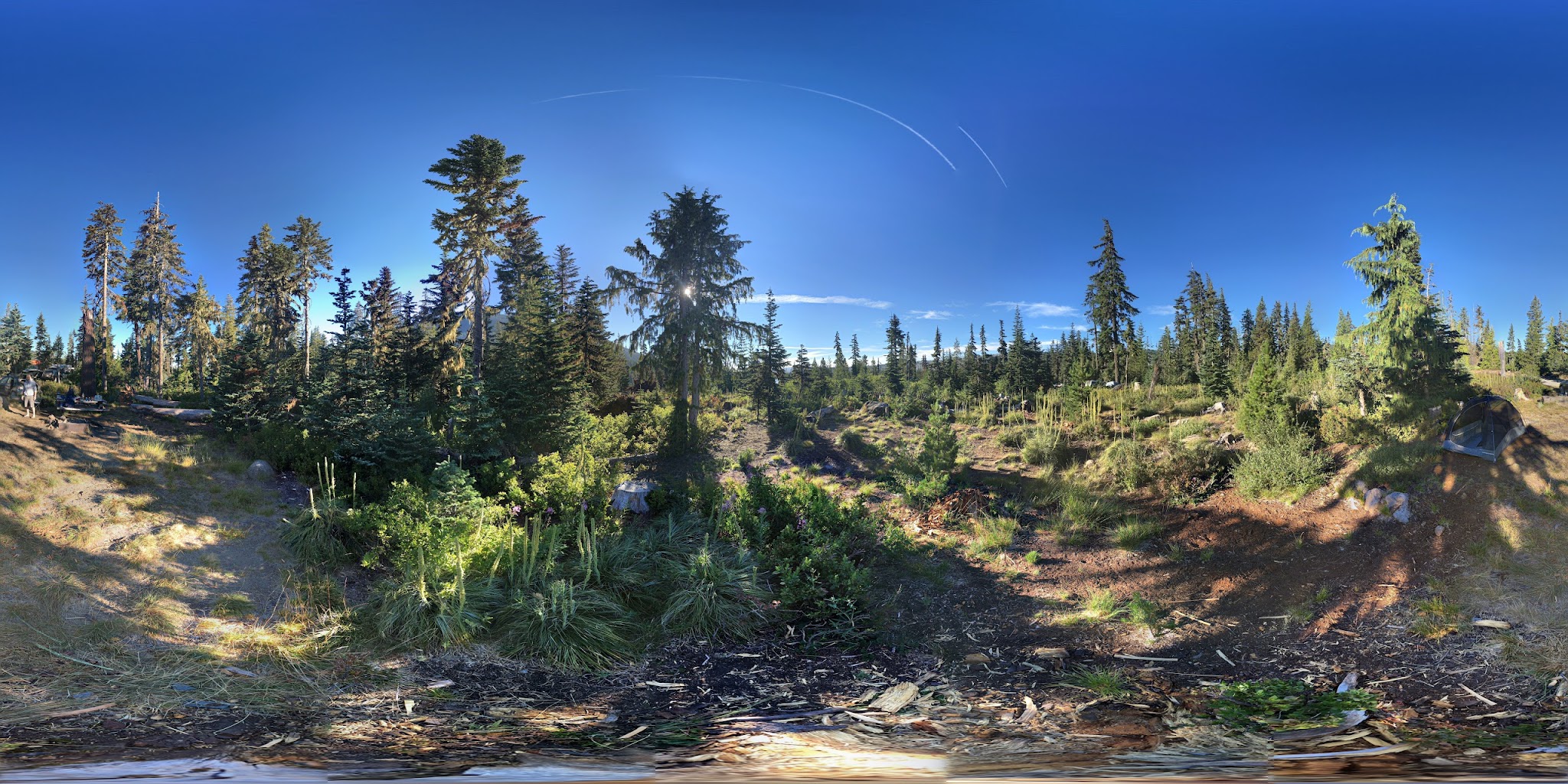 Camp Ten (Olallie Lake) Campground