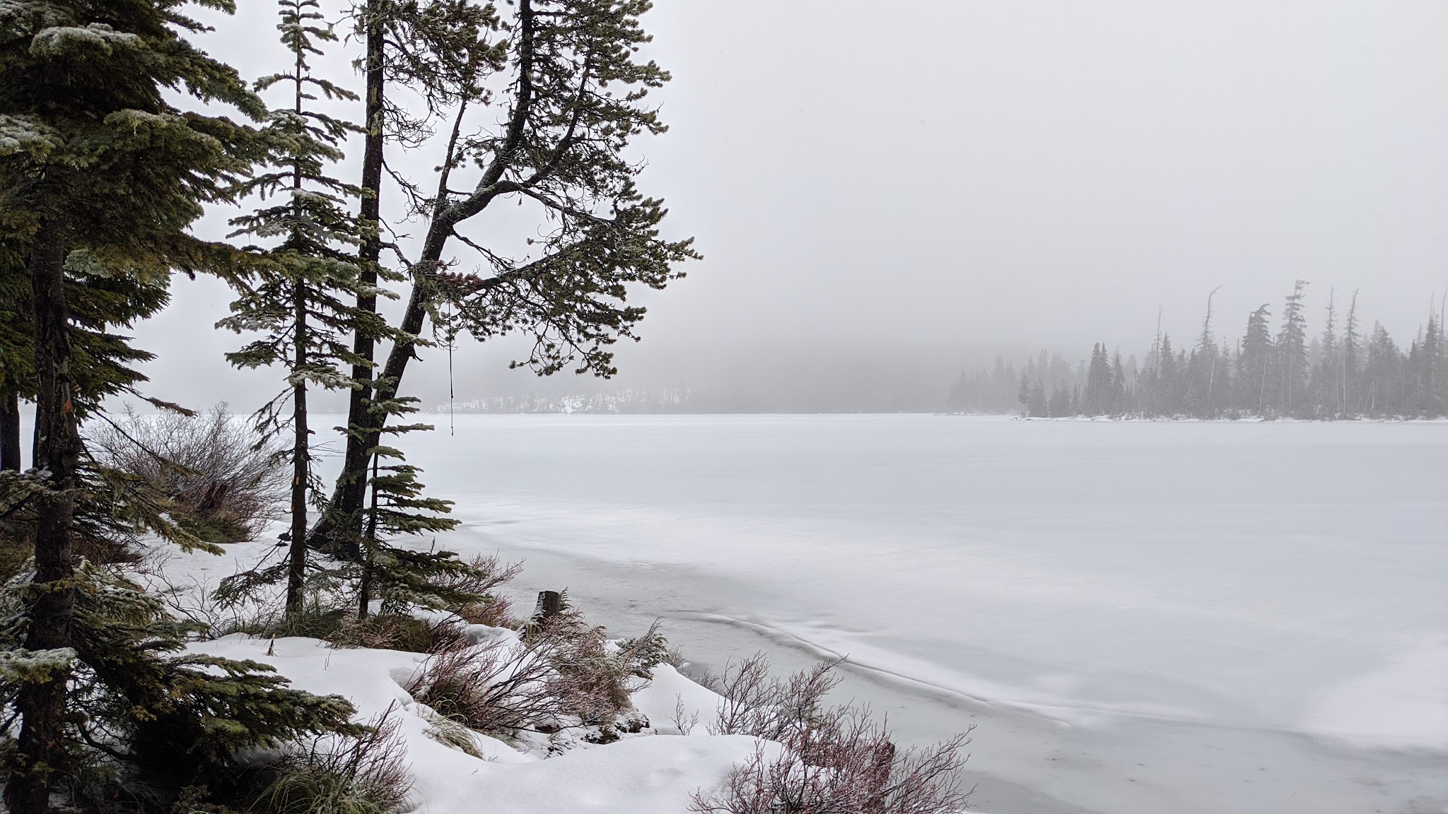Camp Ten (Olallie Lake) Campground