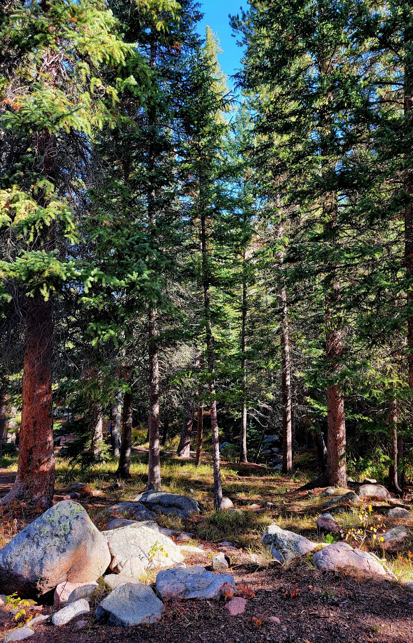 Campbell Creek Campground