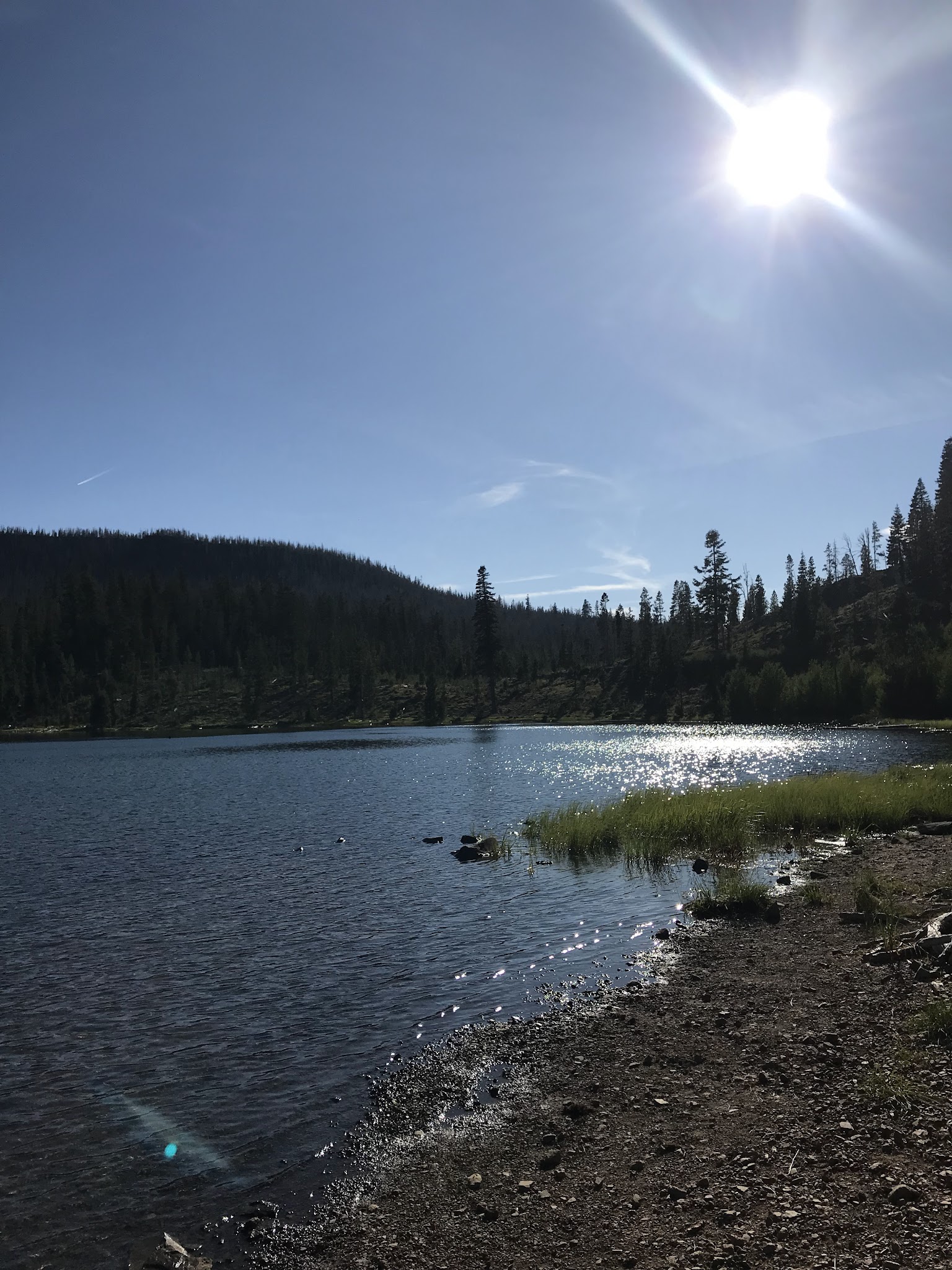 Campbell Lake Campground