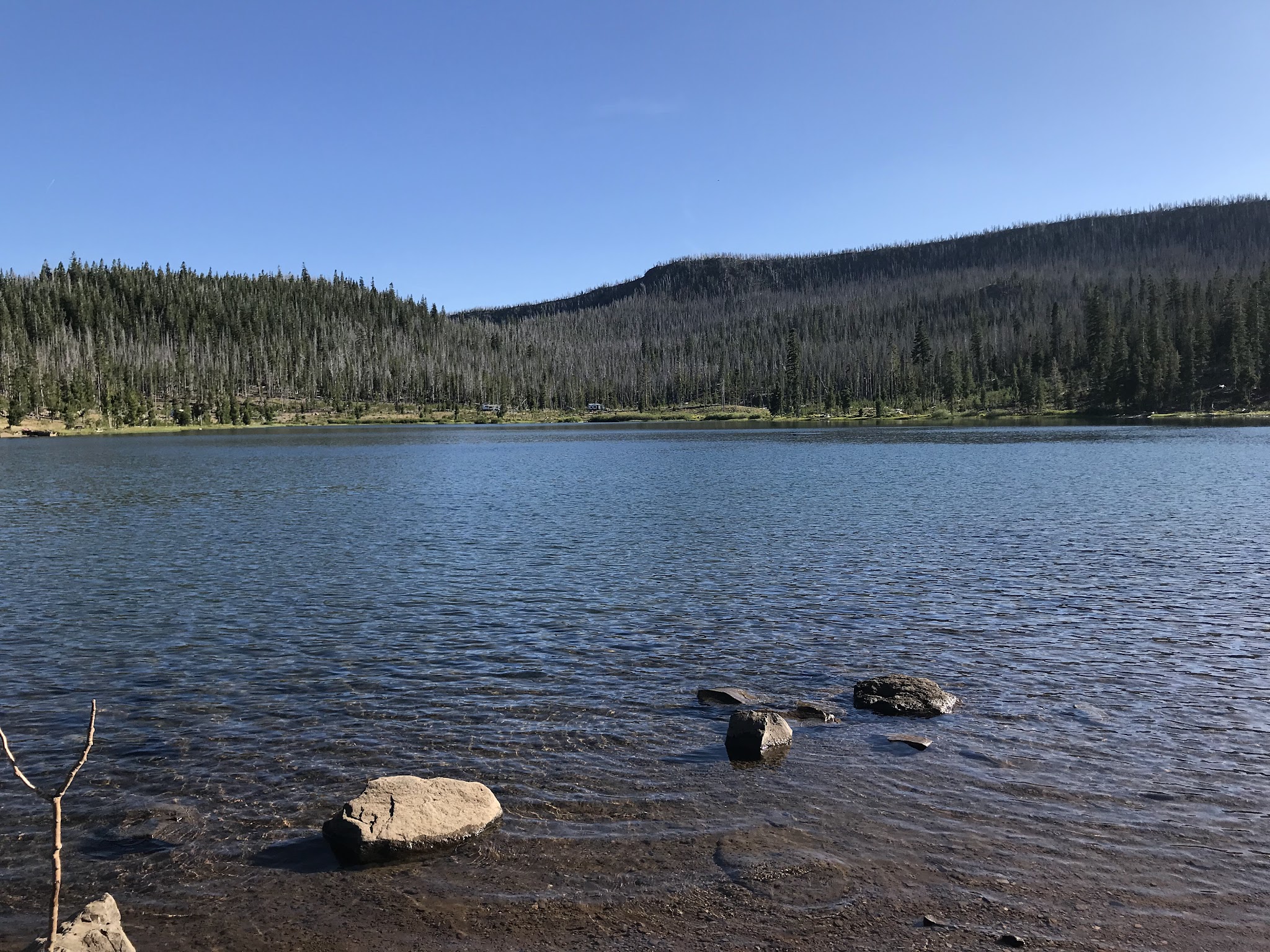 Campbell Lake Campground