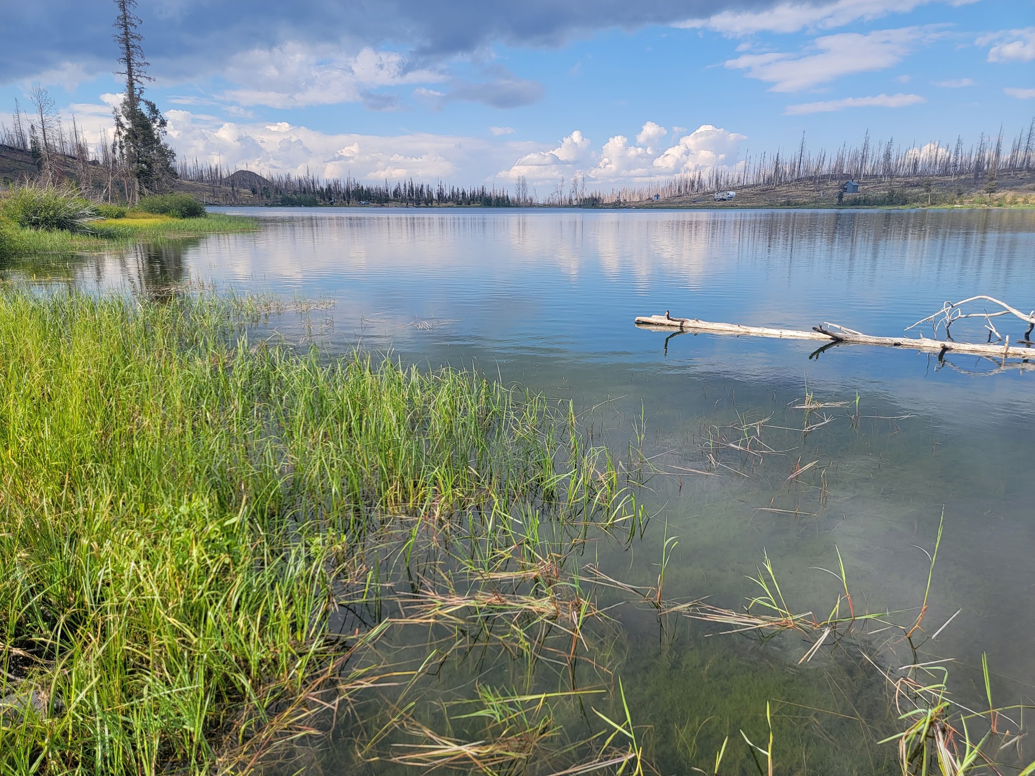 Campbell Lake Campground