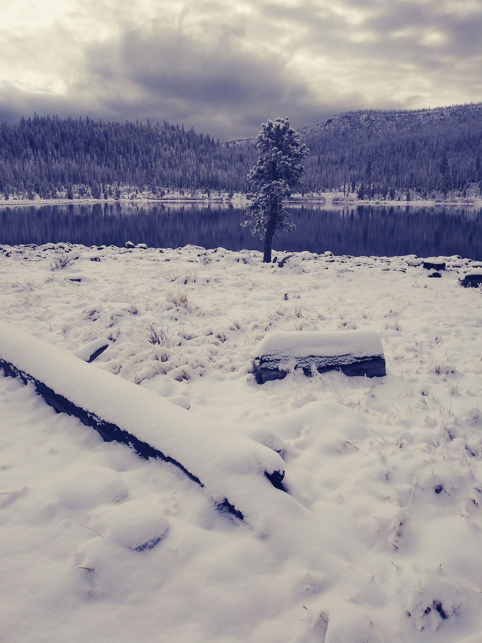 Campbell Lake Campground