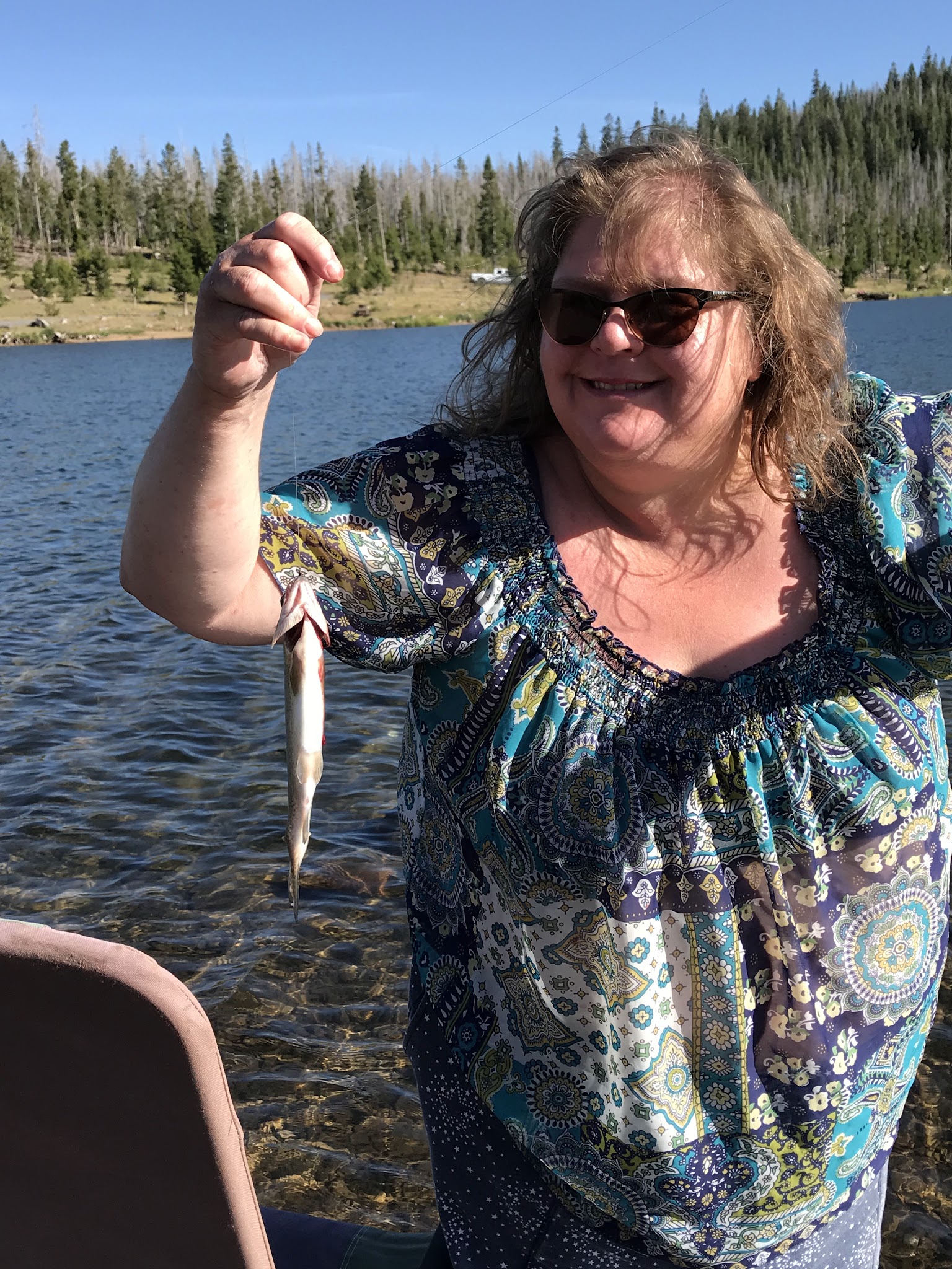 Campbell Lake Campground