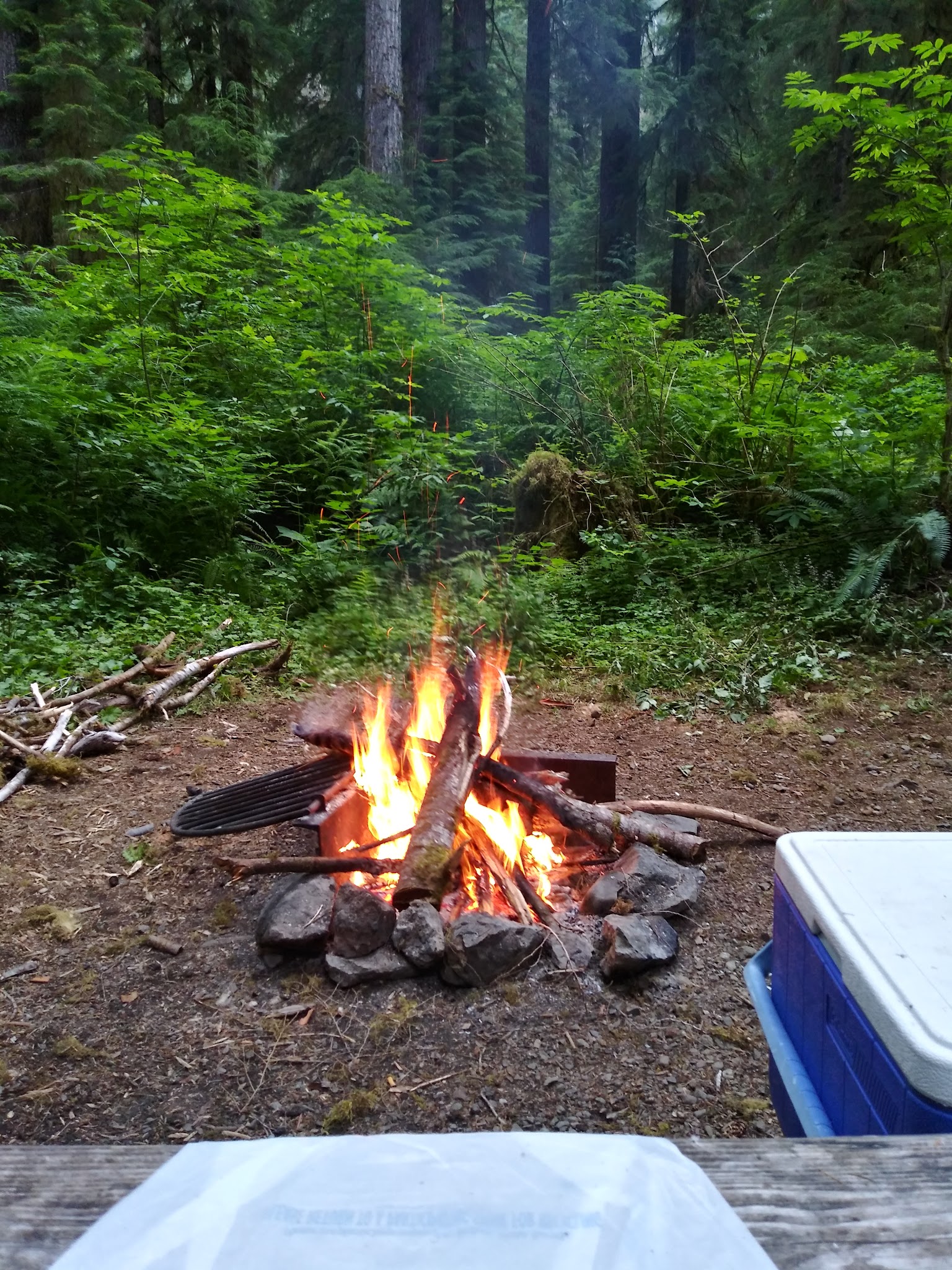 Campbell Tree Grove Campground