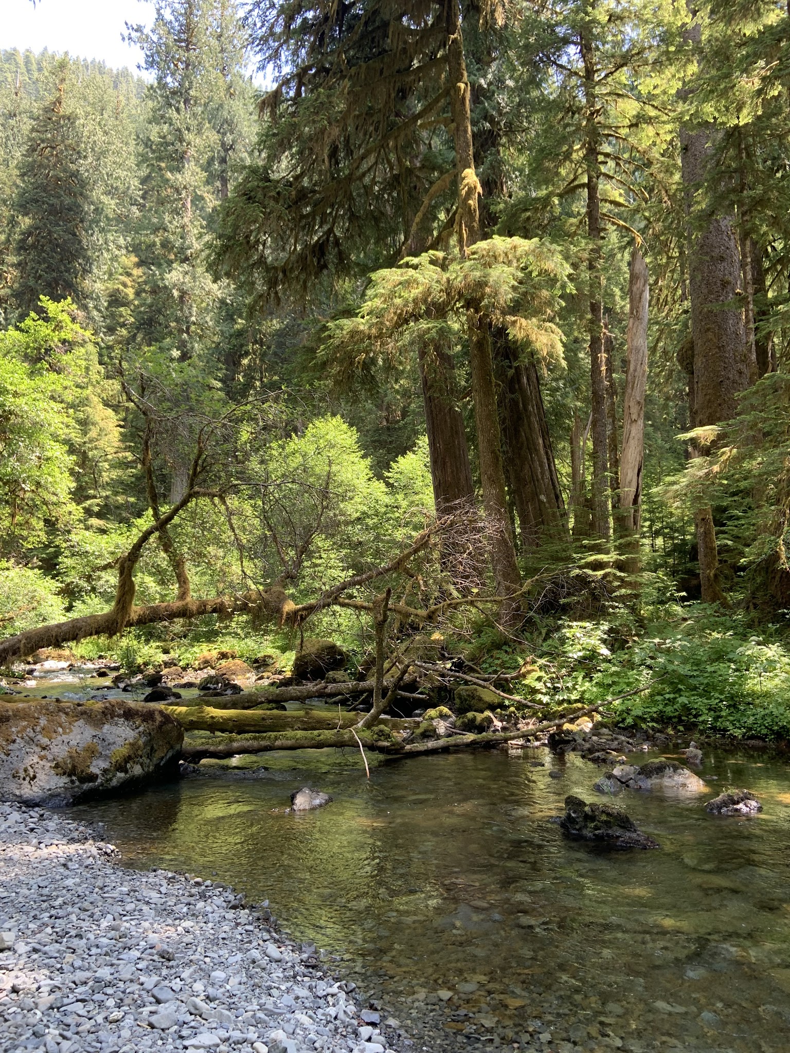 Campbell Tree Grove Campground