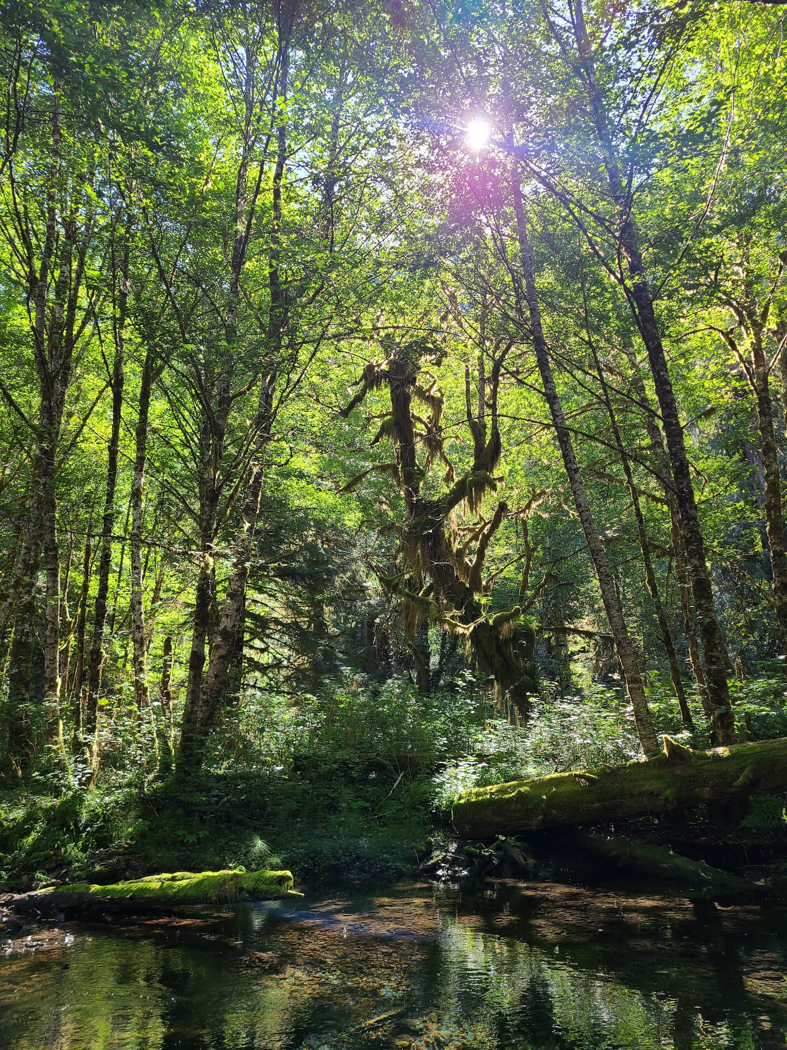 Campbell Tree Grove Campground