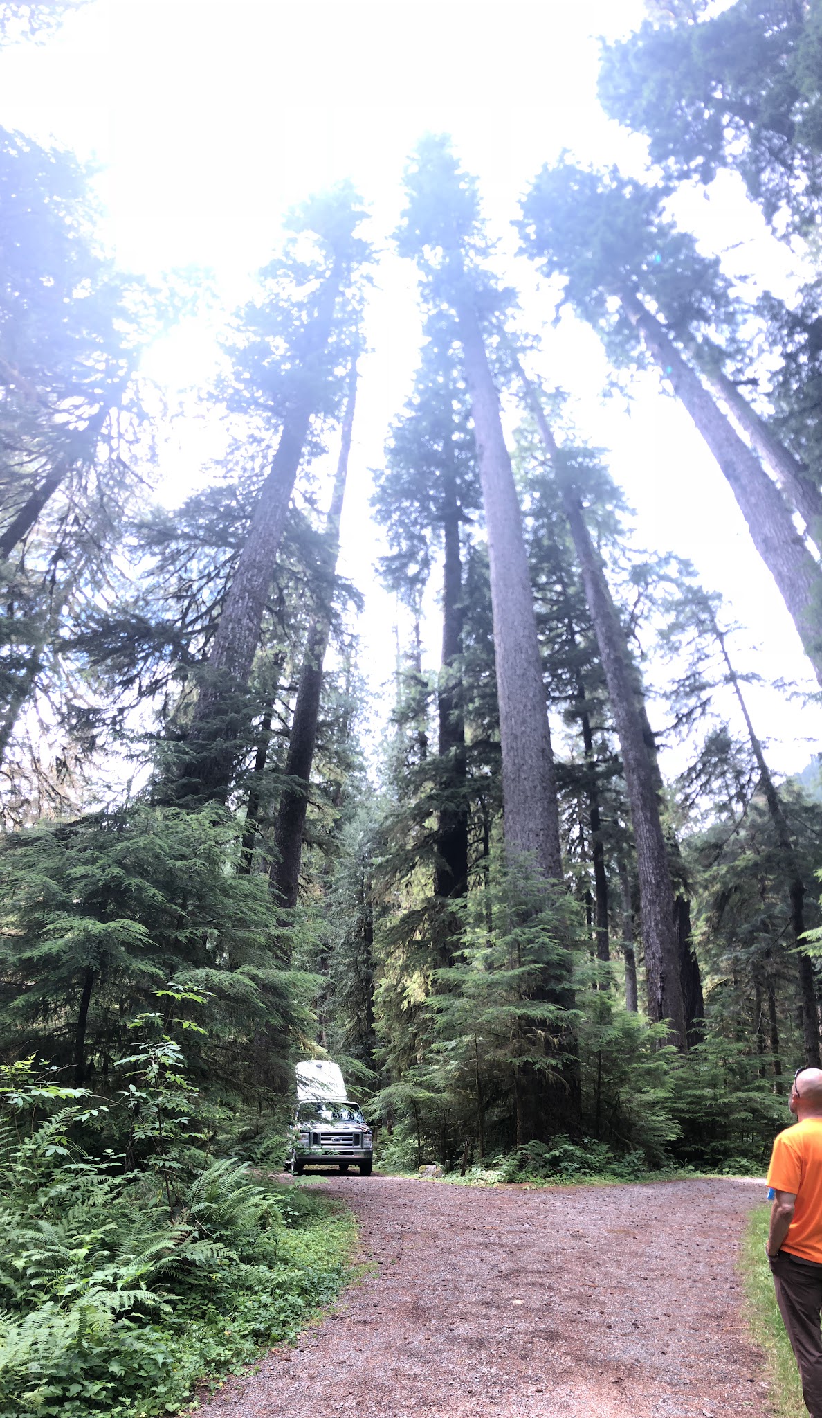 Campbell Tree Grove Campground