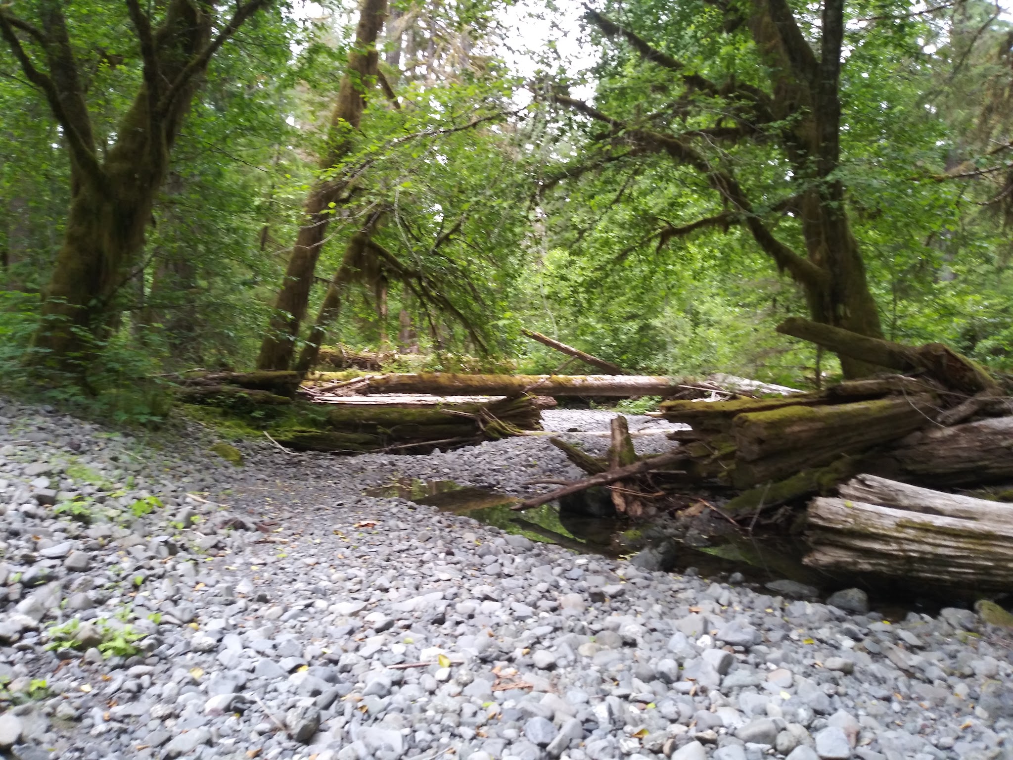 Campbell Tree Grove Campground