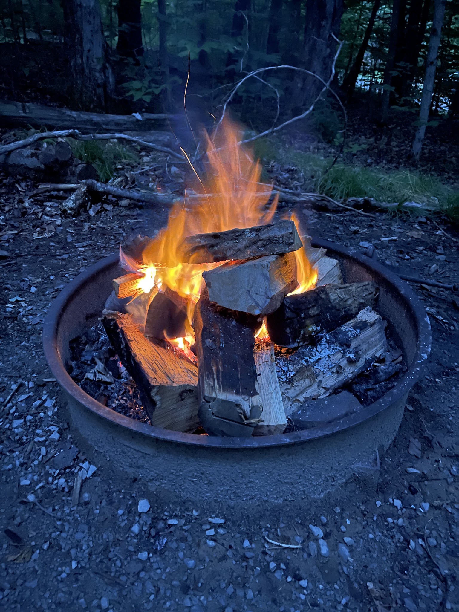 Spruce Knob Lake Campground